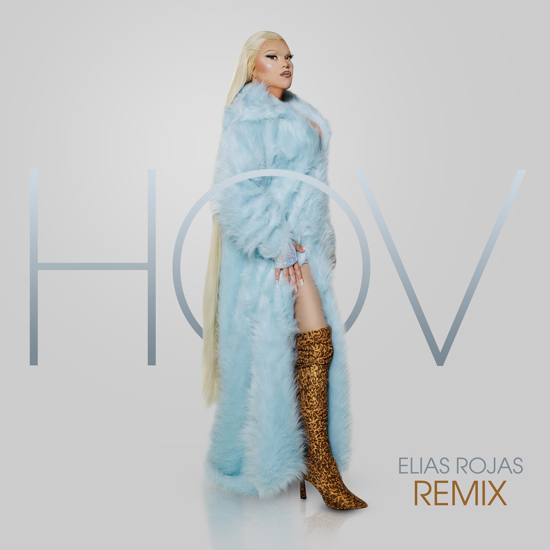 Постер альбома Haus of Vizcaya (Elias Rojas Remix)
