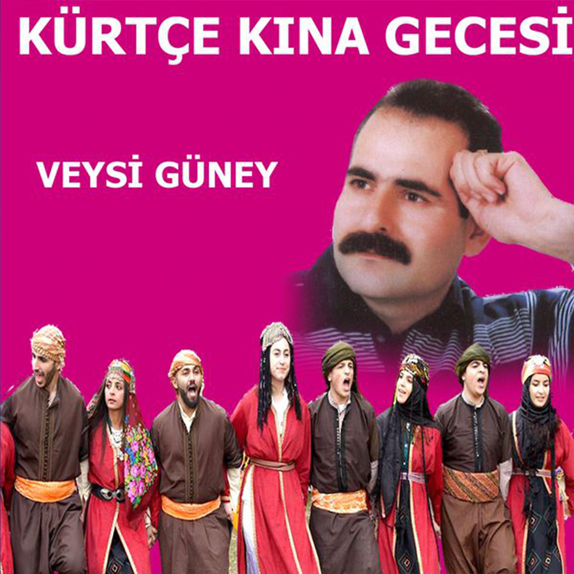 Постер альбома Kürtçe Kına Gecesi