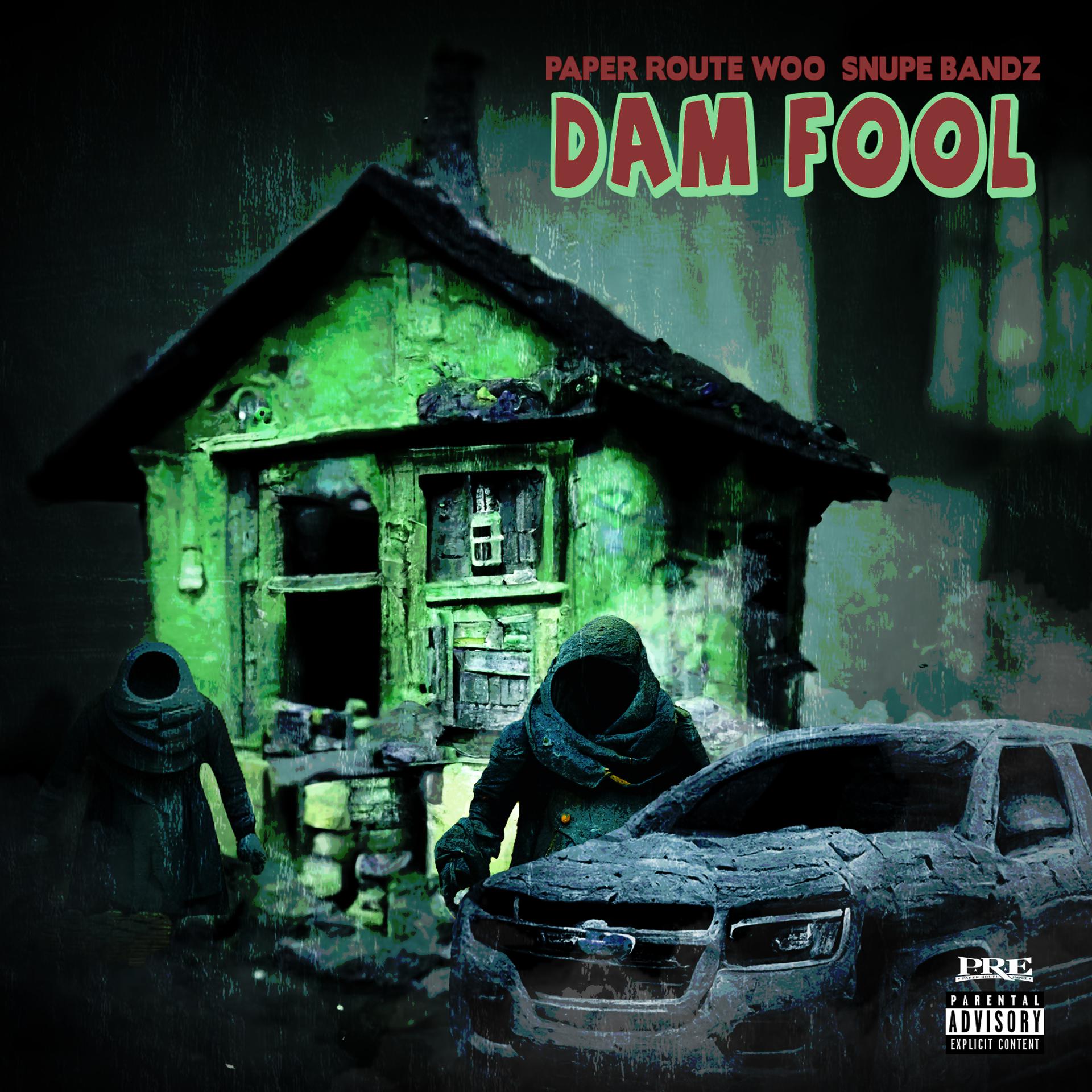 Постер альбома Dam Fool