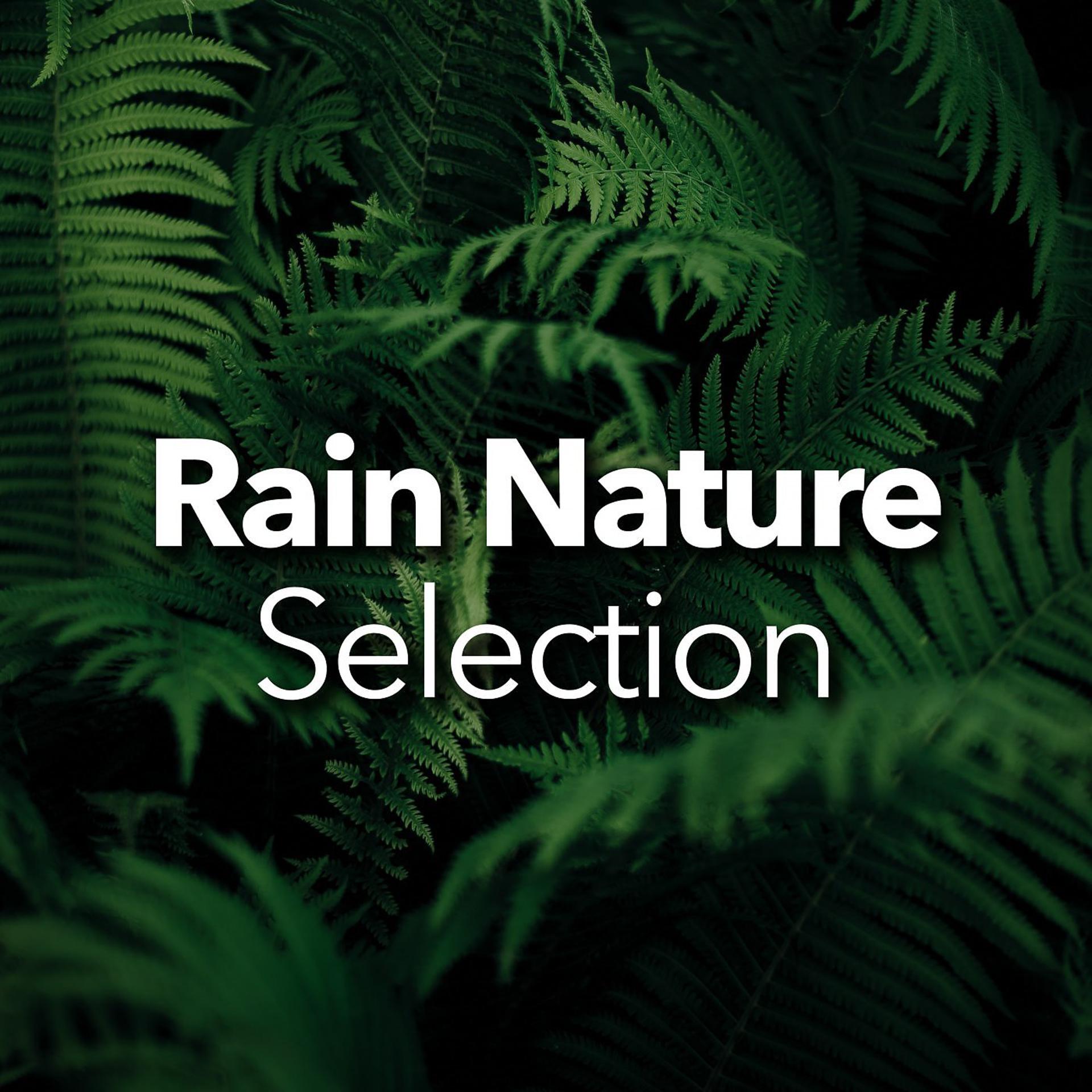 Постер альбома Rain Nature Selection