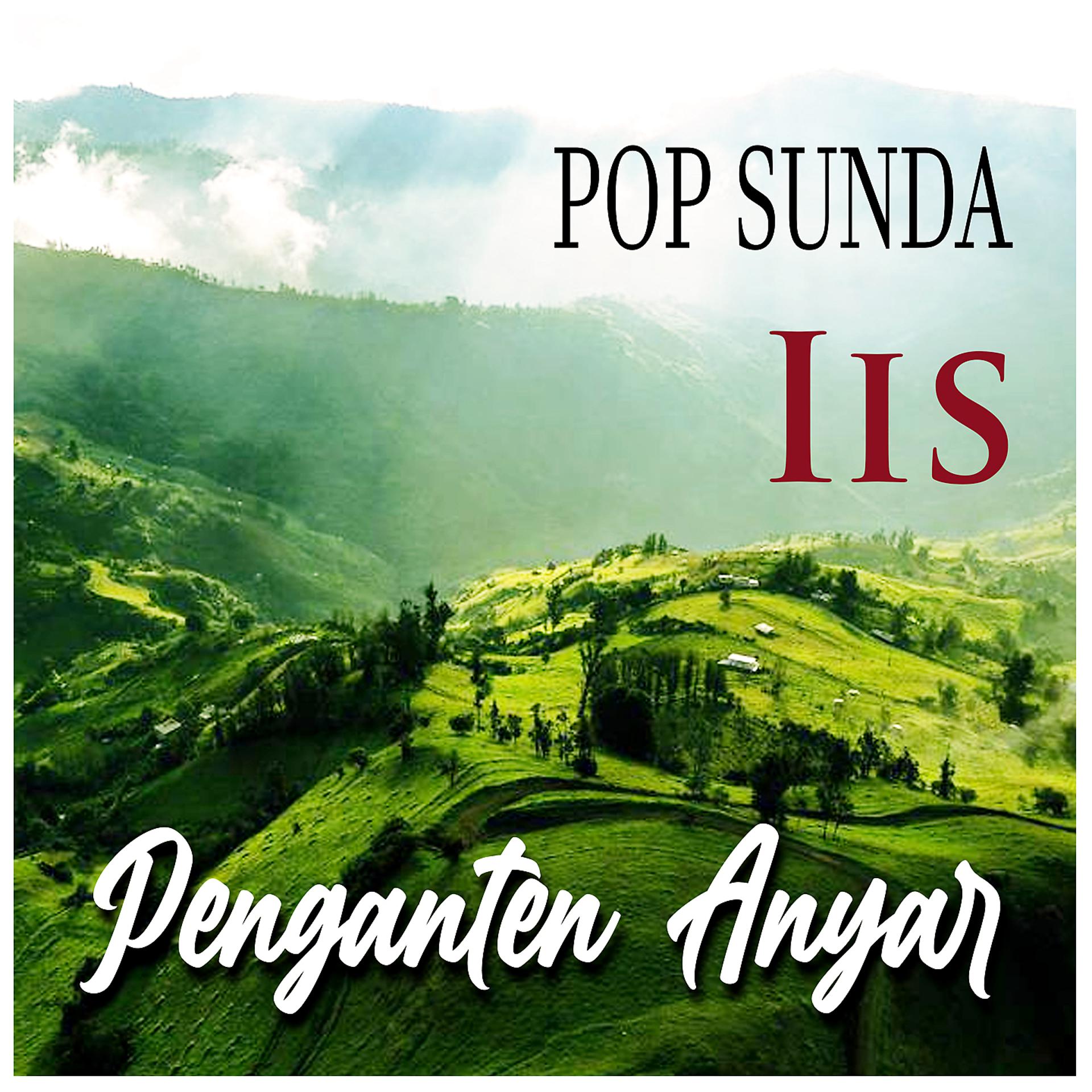 Постер альбома Penganten Anyar