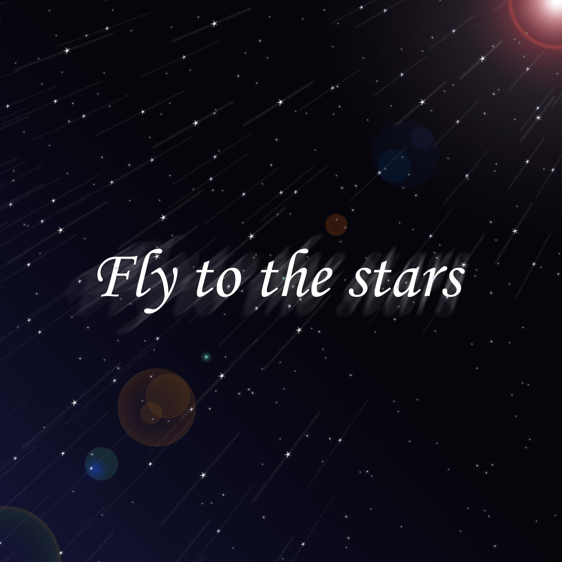 Постер альбома Fly to the Stars