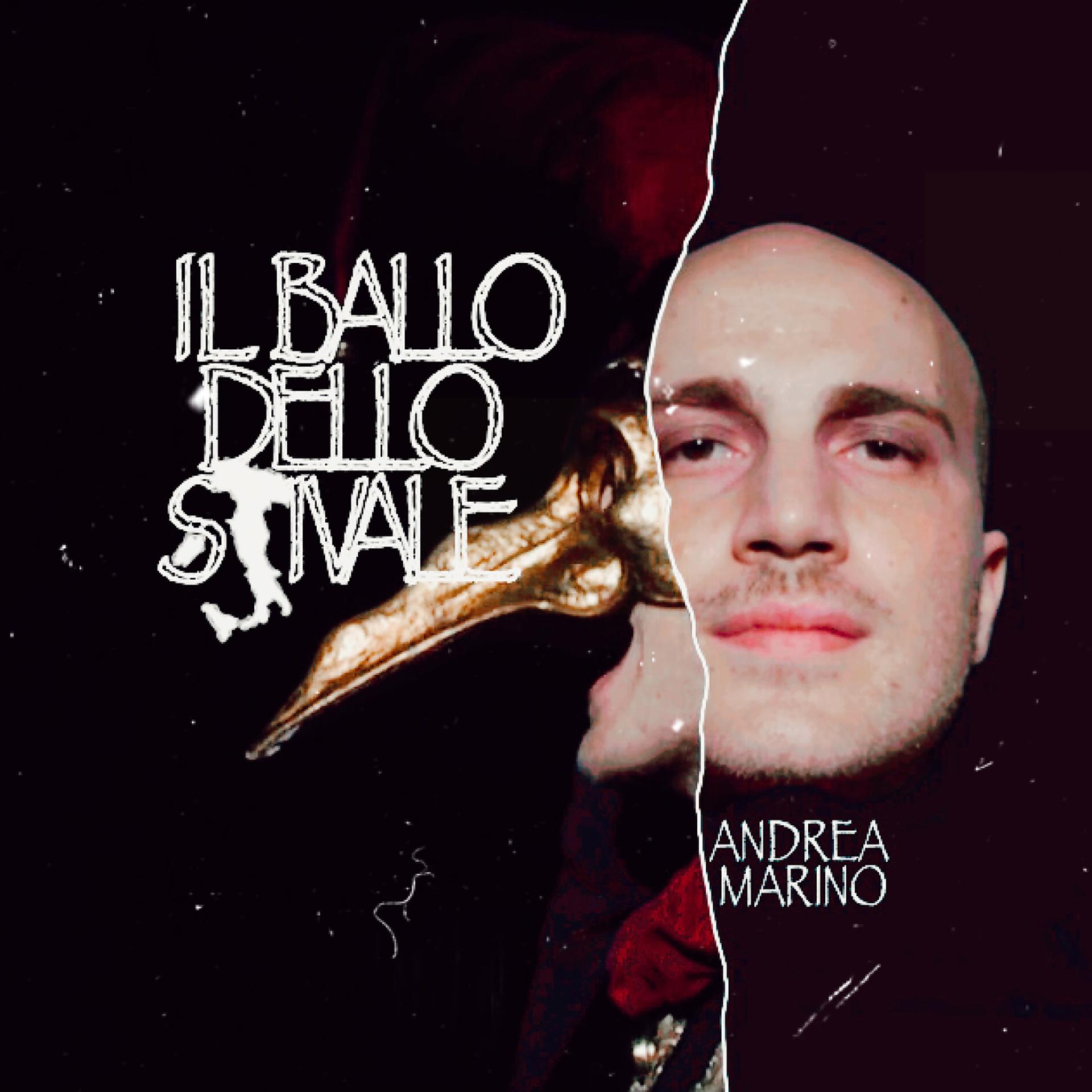 Постер альбома Il ballo dello Stivale