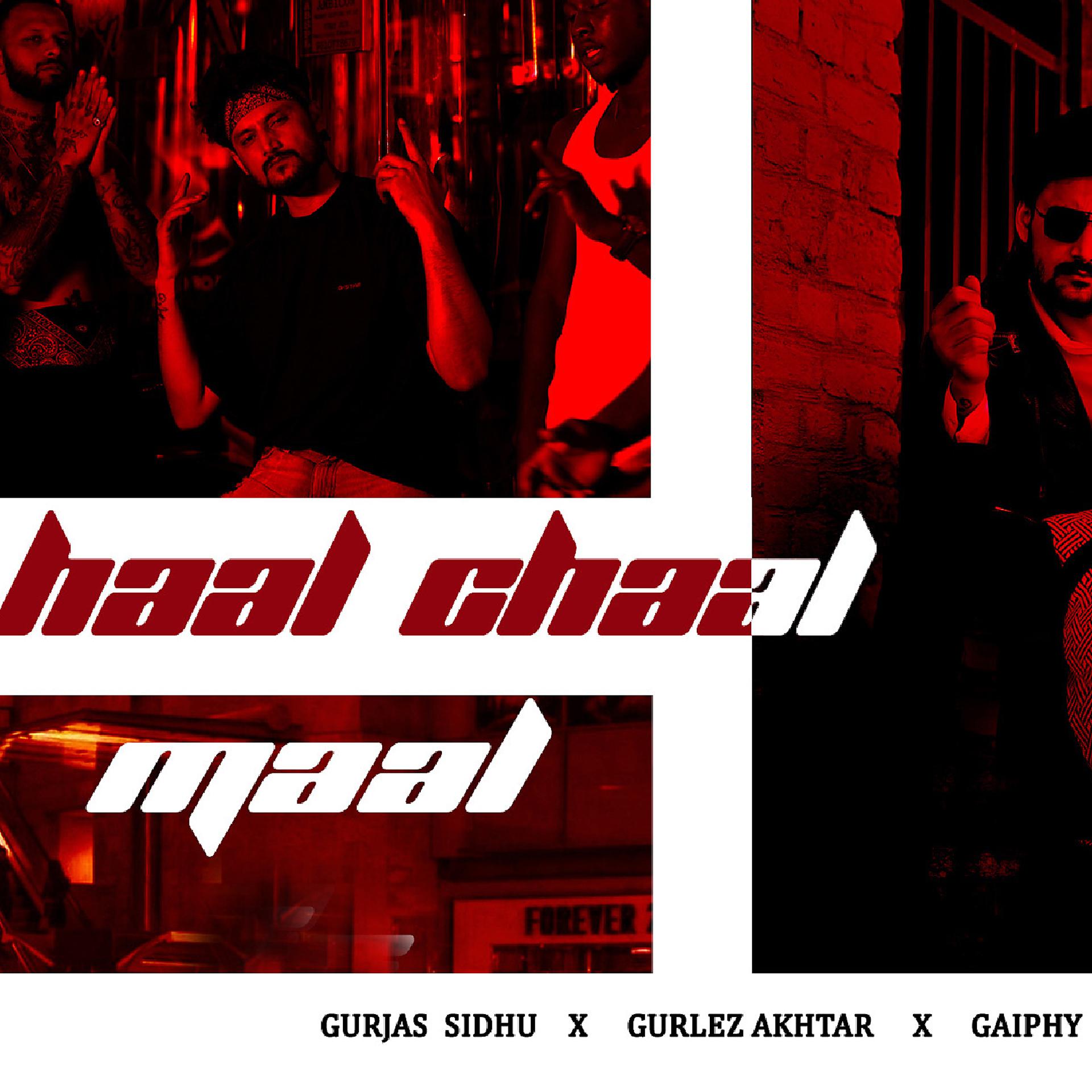 Постер альбома Haal Chaal Maal