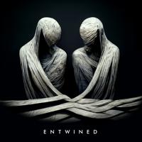 Постер альбома Entwined