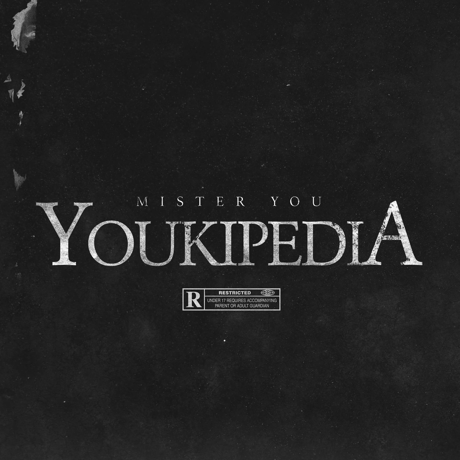 Постер альбома Youkipedia