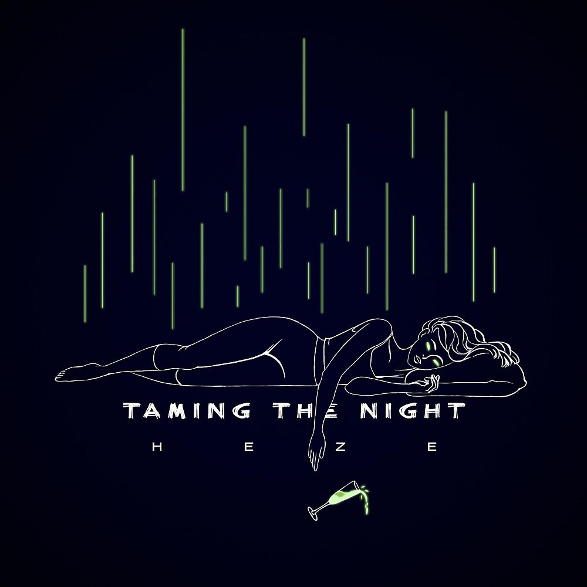 Постер альбома Taming the Night