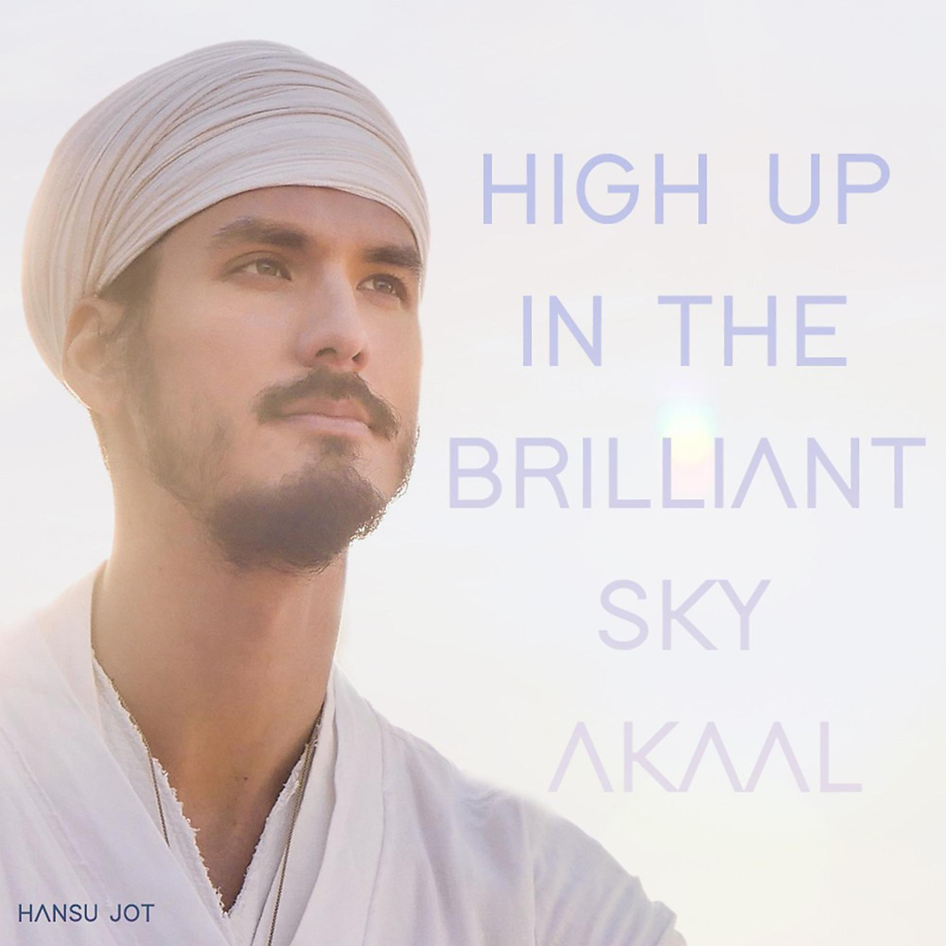 Постер альбома High up in the Brilliant Sky (Akaal)
