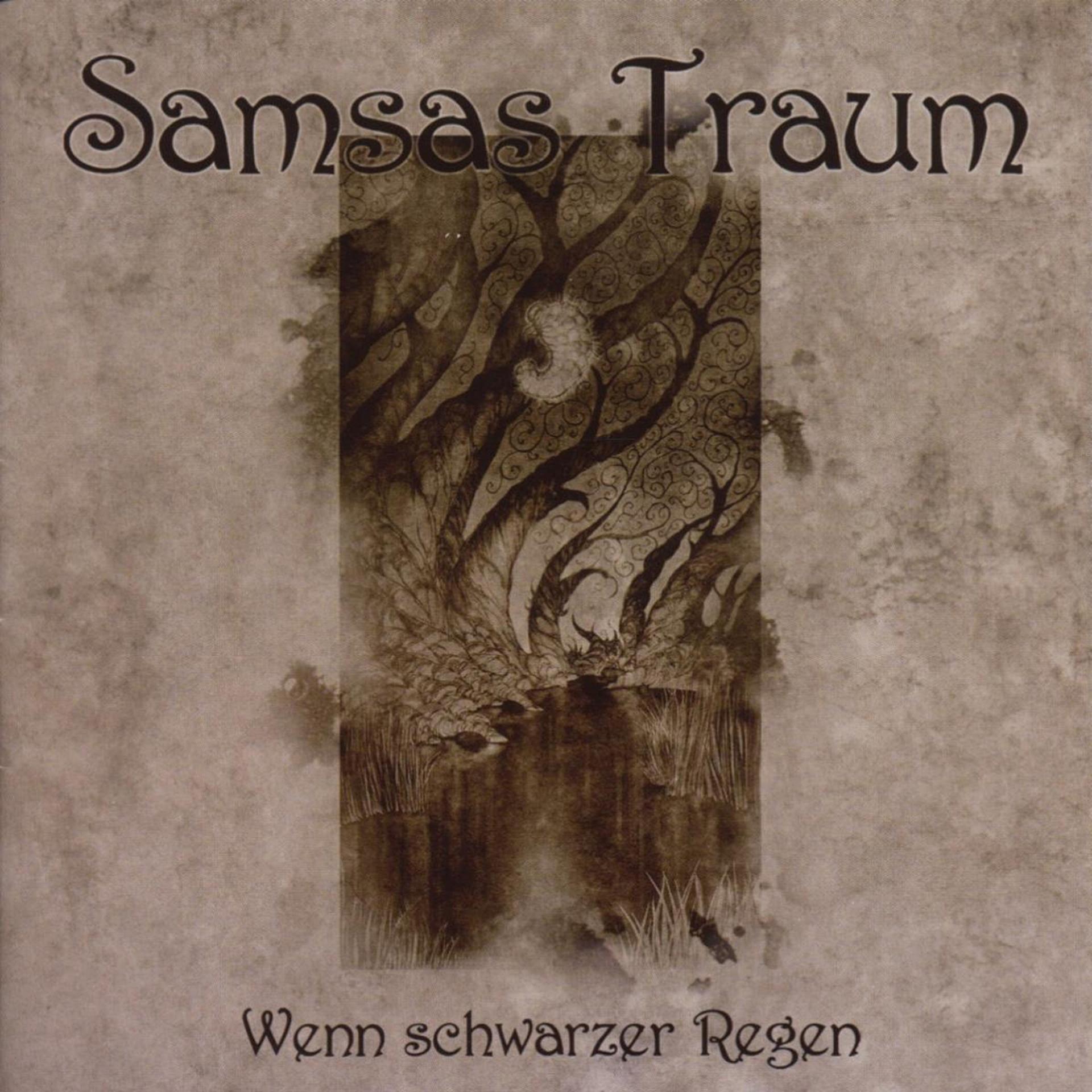 Постер альбома Wenn Schwarzer Regen