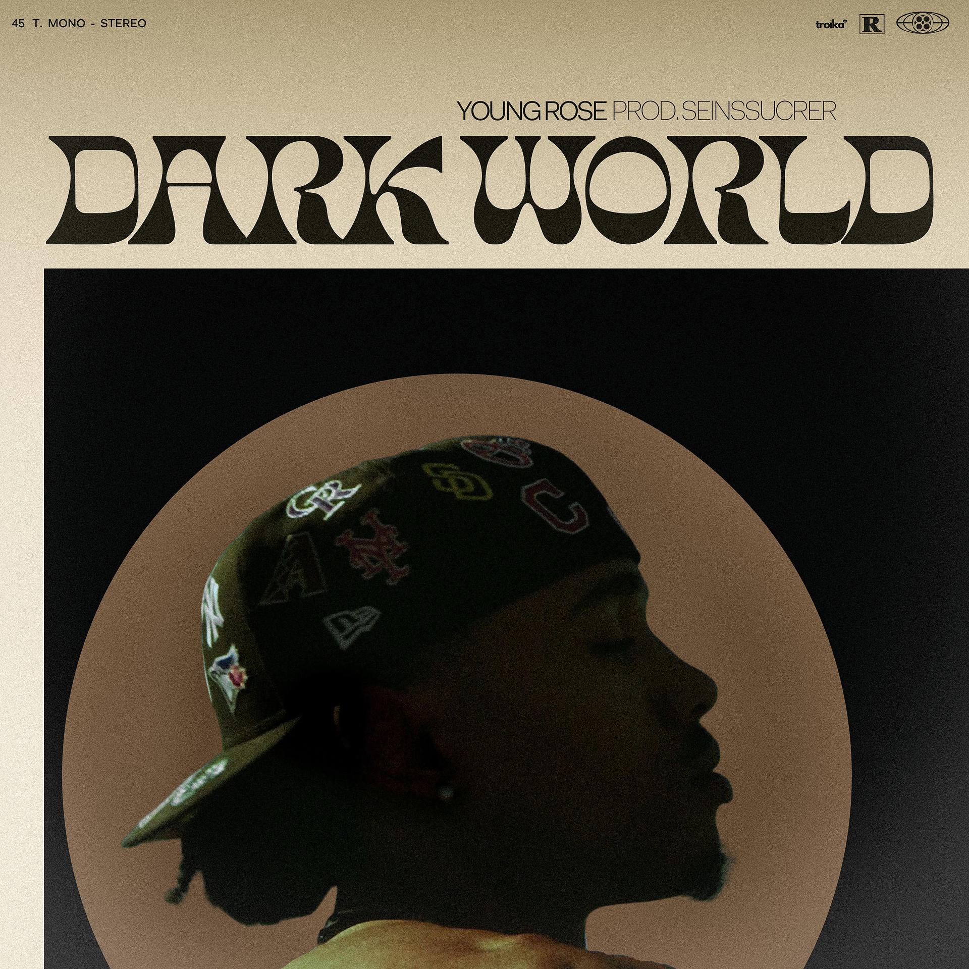 Постер альбома DARK WORLD
