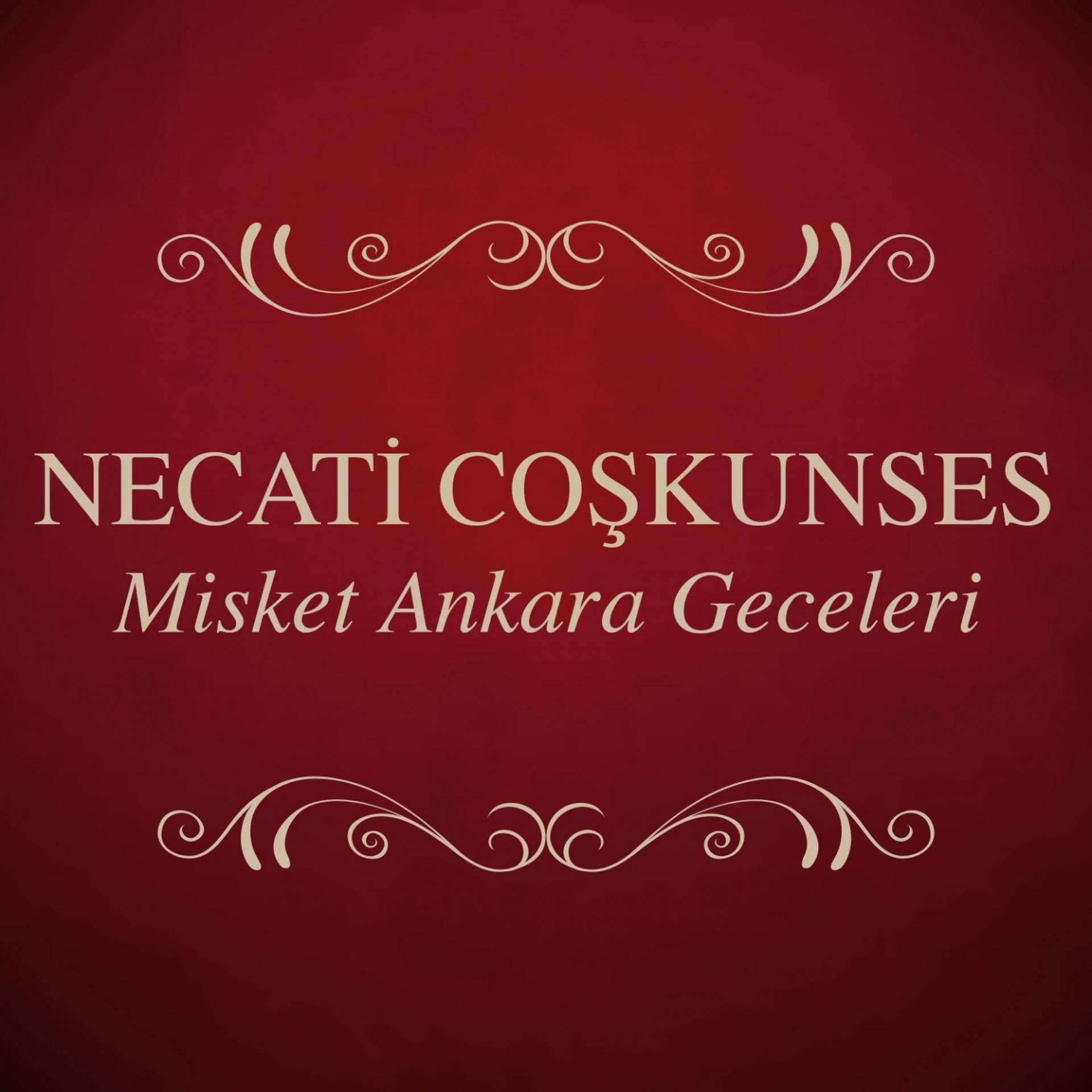 Постер альбома Misket Ankara Geceleri