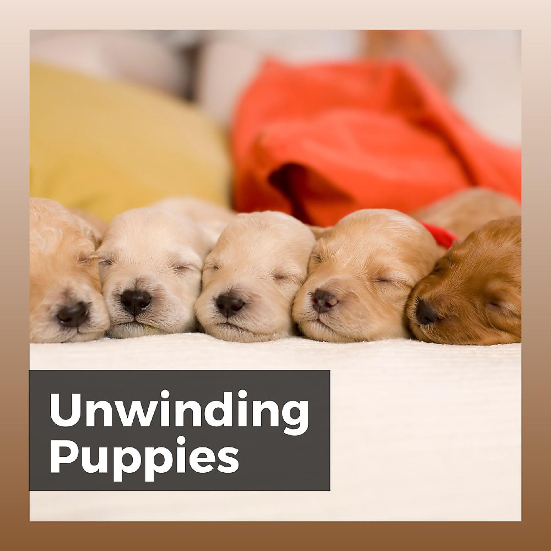 Постер альбома Unwinding Puppies