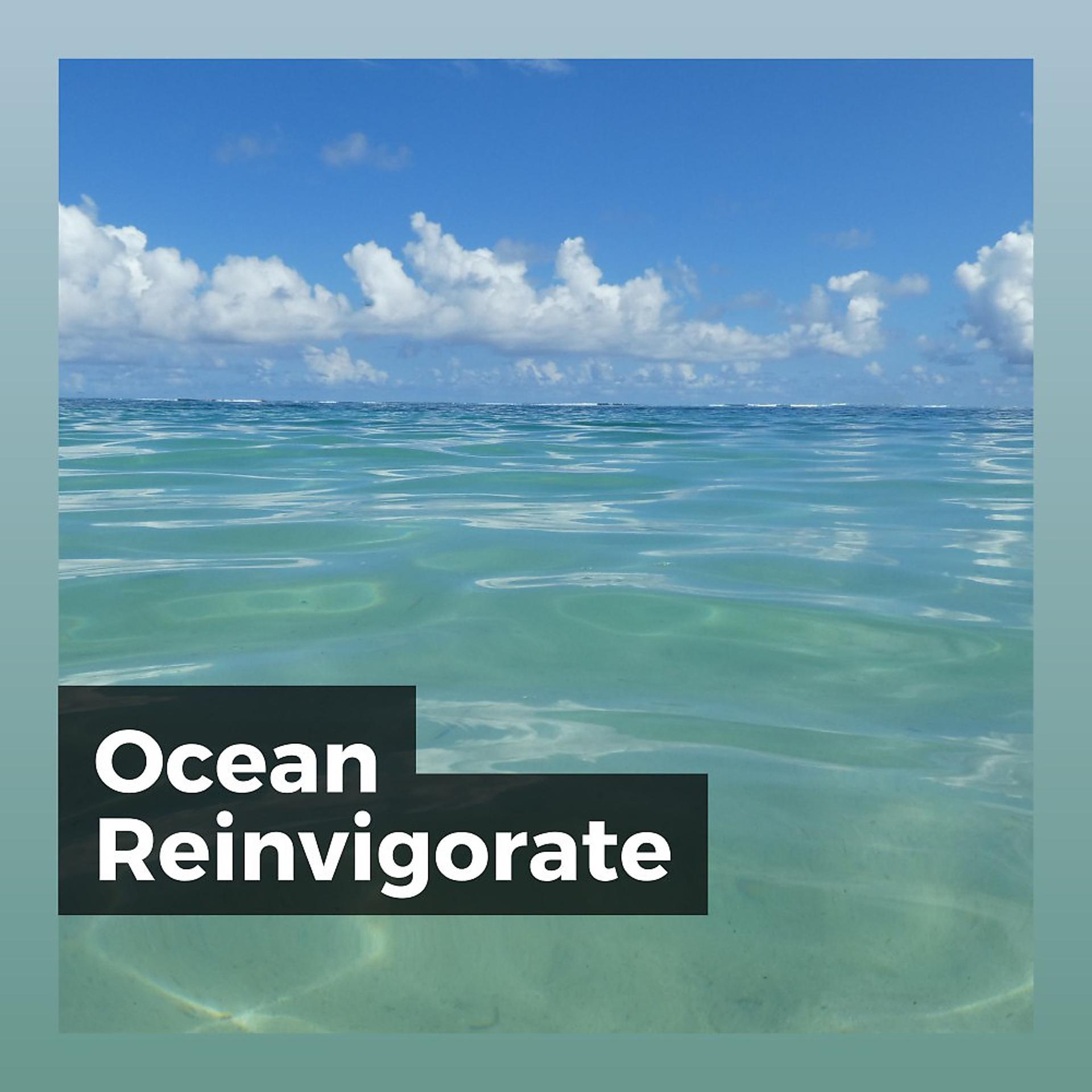 Постер альбома Ocean Reinvigorate