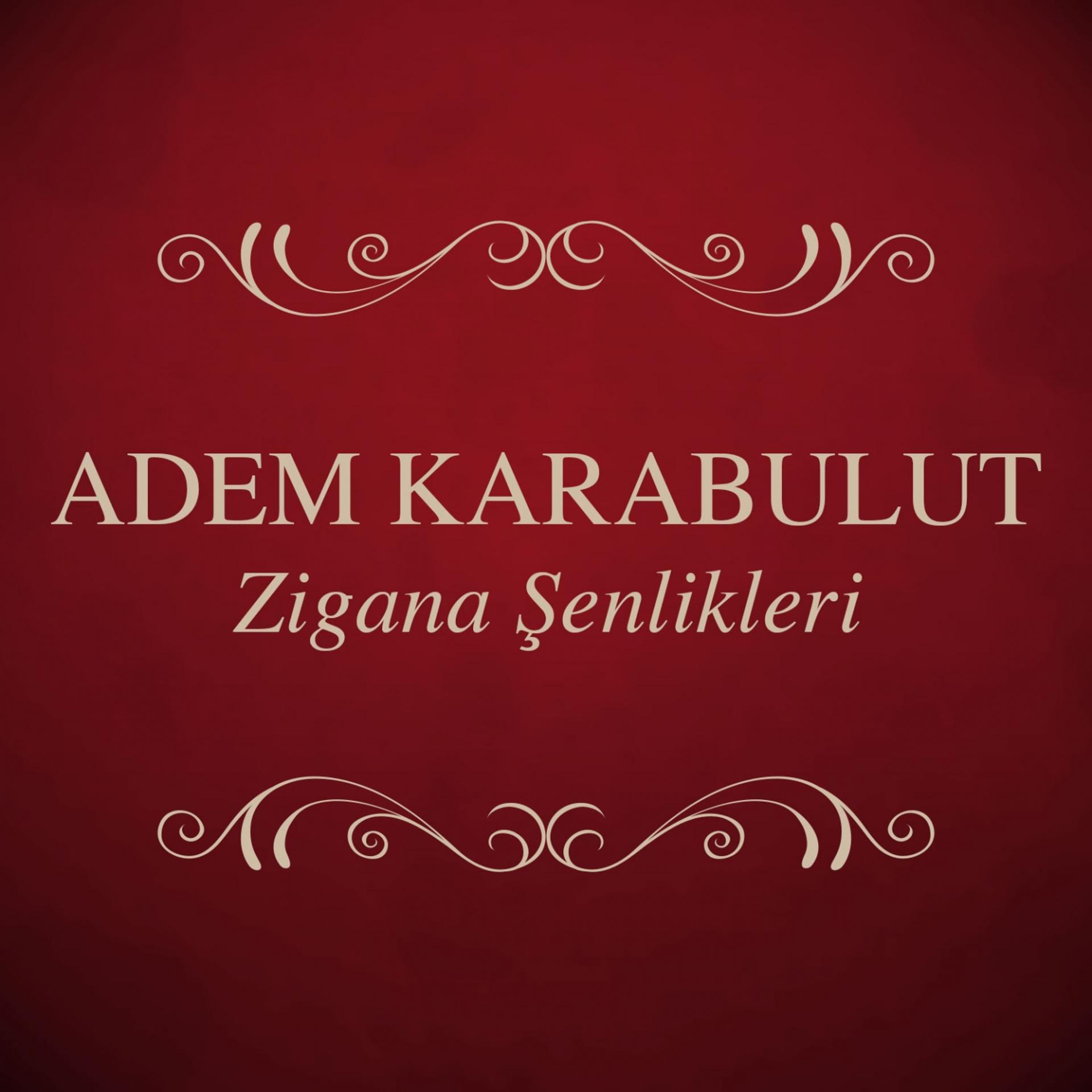 Постер альбома Zigana Şenlikleri