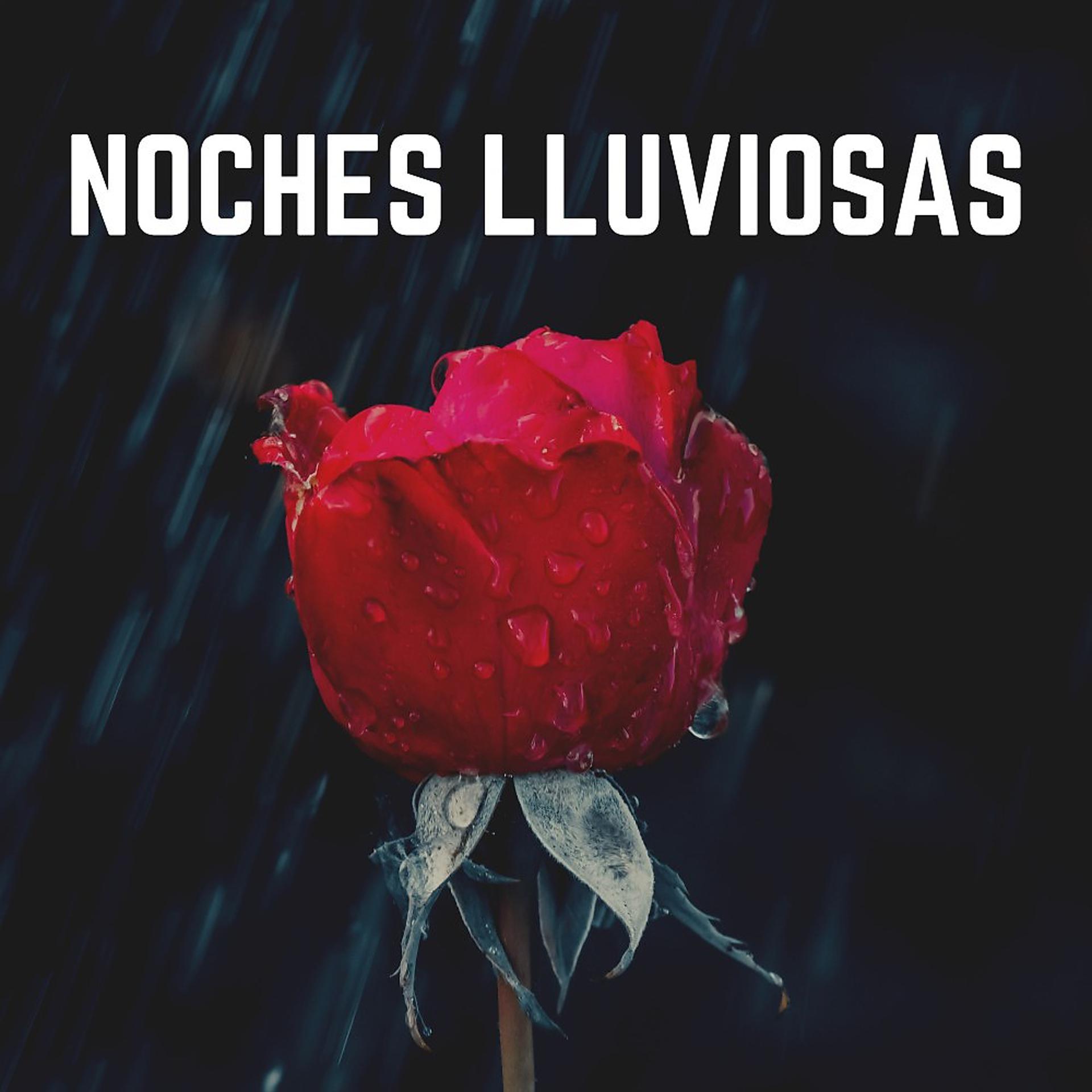 Постер альбома Noches Lluviosas