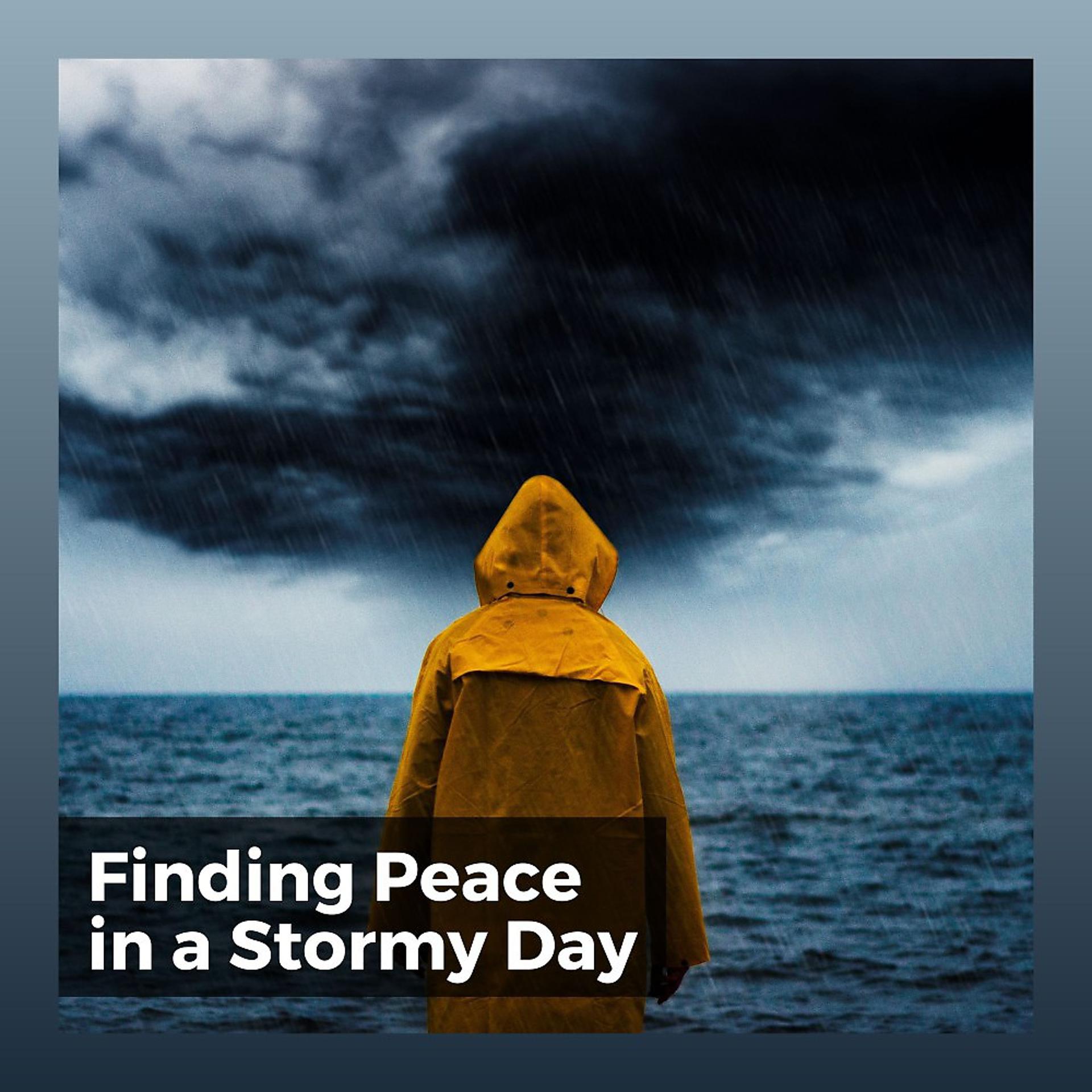Постер альбома Finding Peace in a Stormy Day