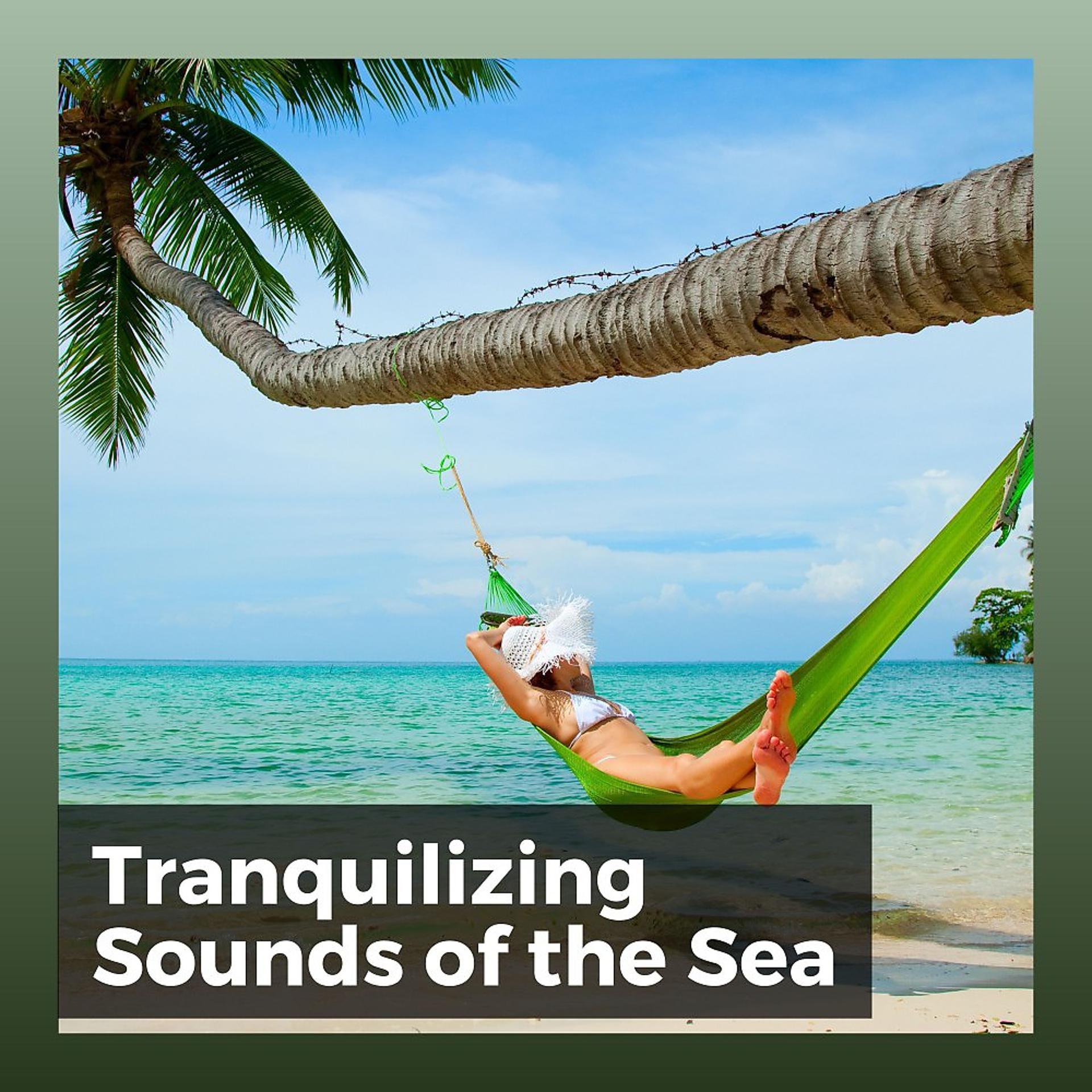 Постер альбома Tranquilizing Sounds of the Sea