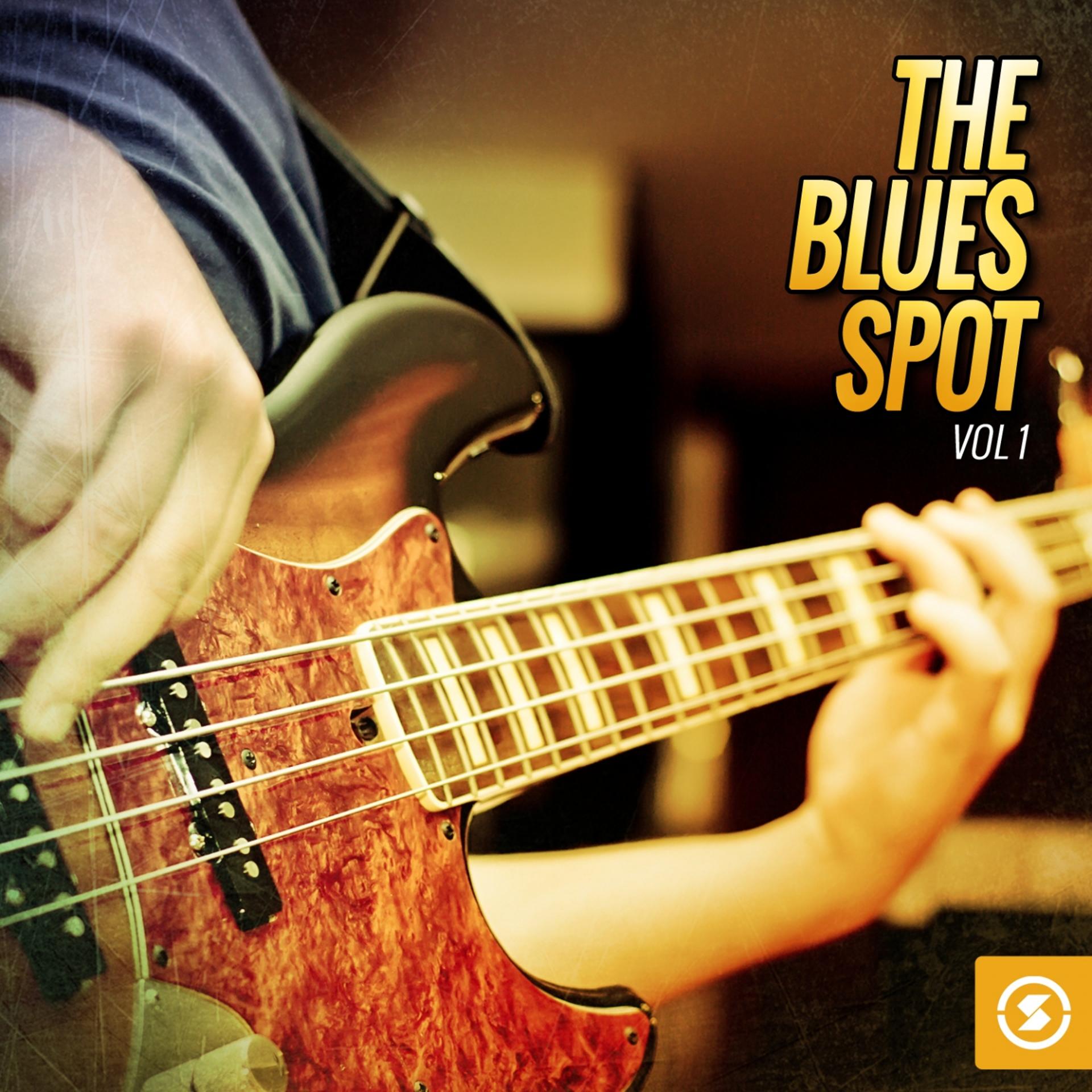 Постер альбома The Blues Spot