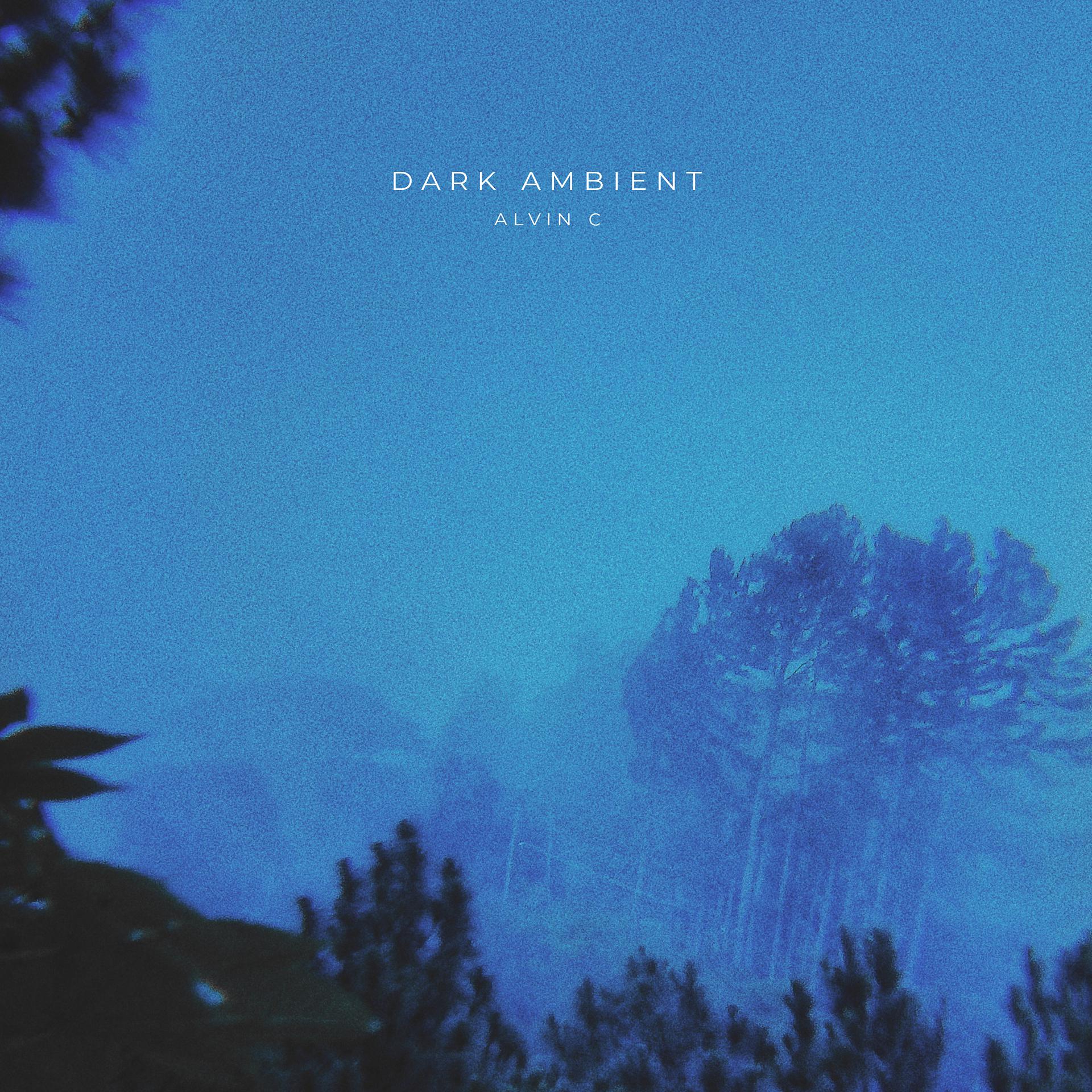 Постер альбома Dark Ambient