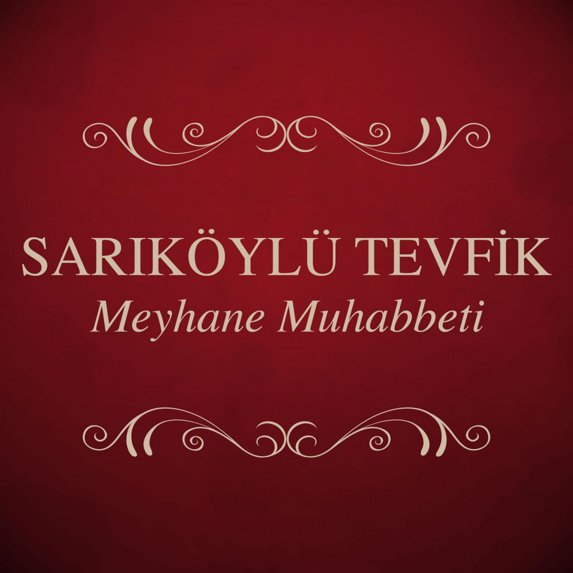 Постер альбома Meyhane Muhabbeti