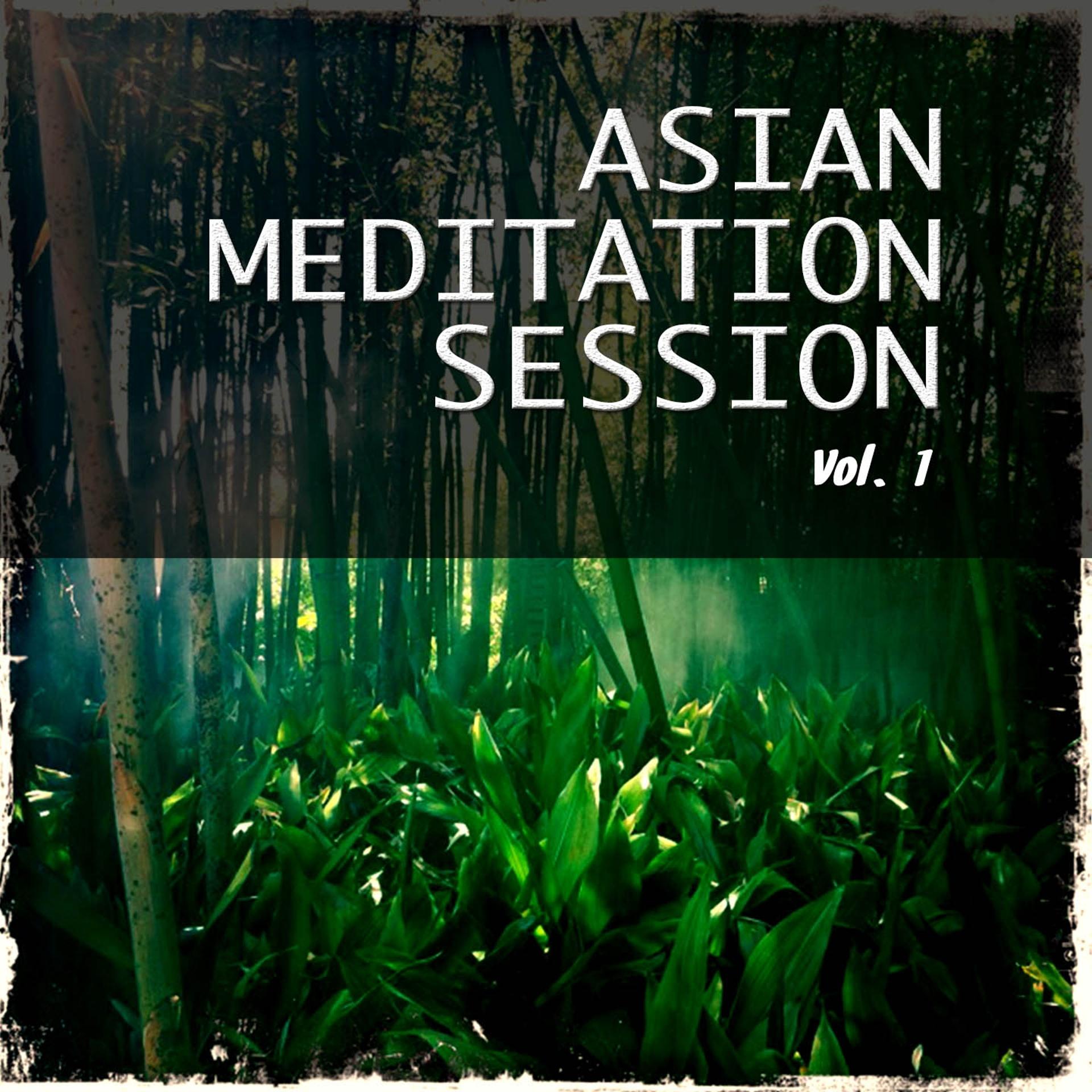 Постер альбома Asian Meditation Session, Vol. 1