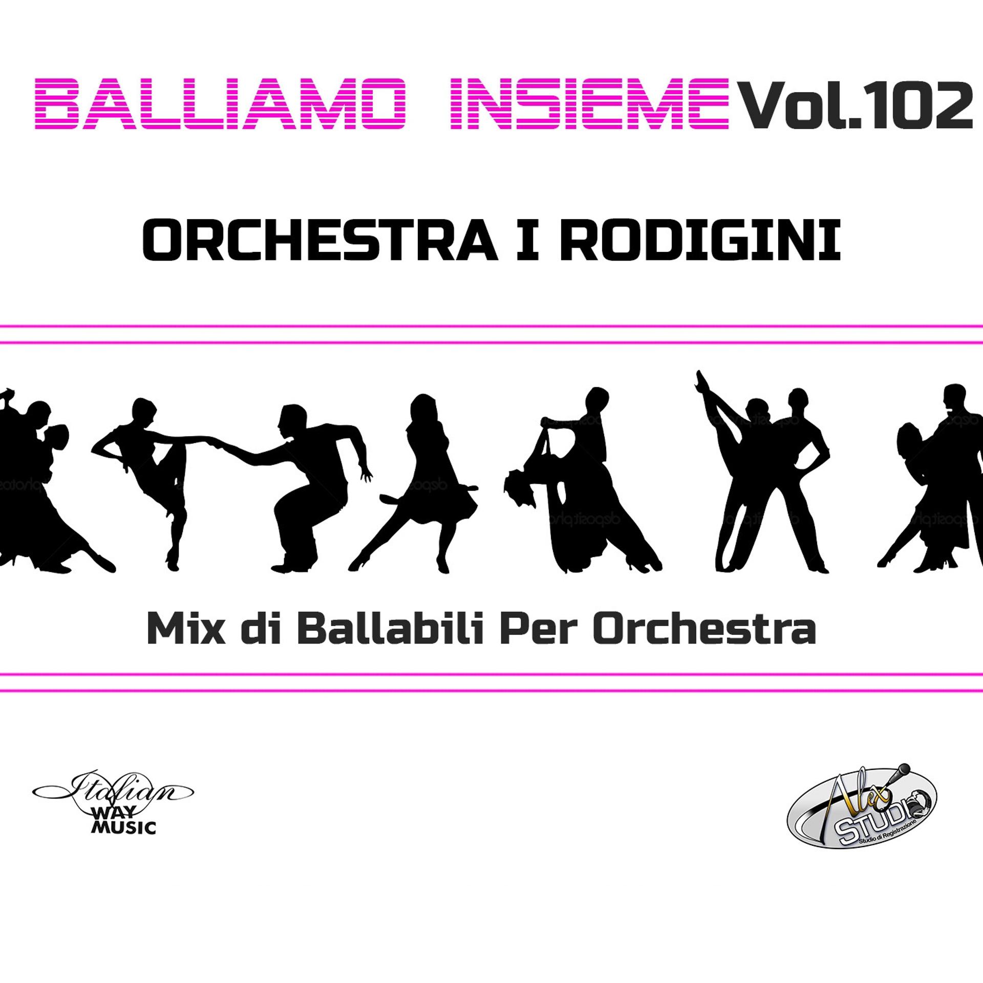 Постер альбома Balliamo insieme, Vol. 102 (Mix di ballabili per orchestra)