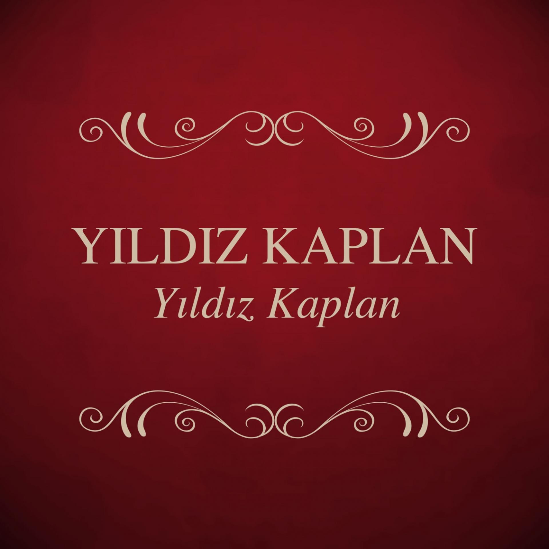 Постер альбома Yıldız Kaplan