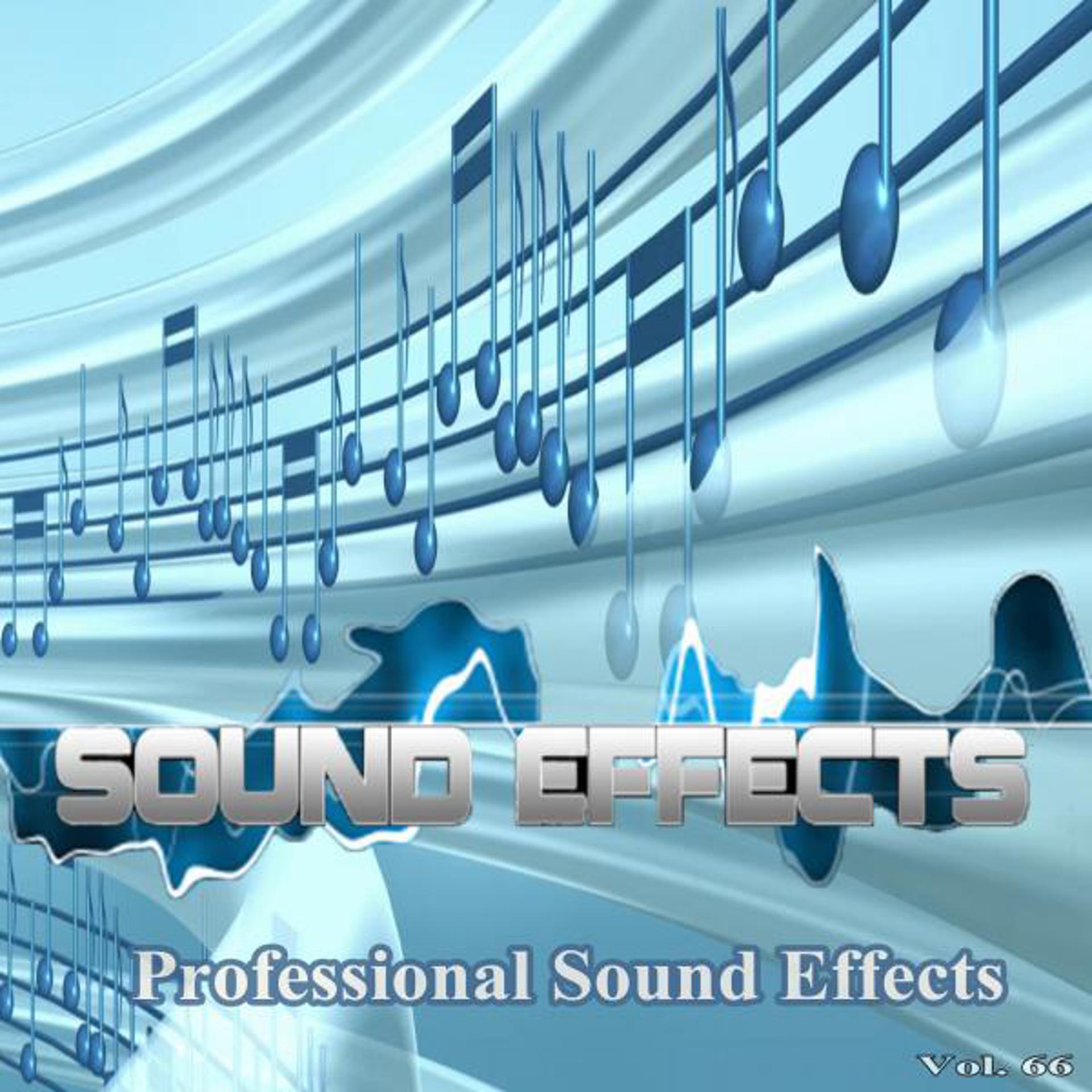 Постер альбома Professional Sound Effects, Vol. 66