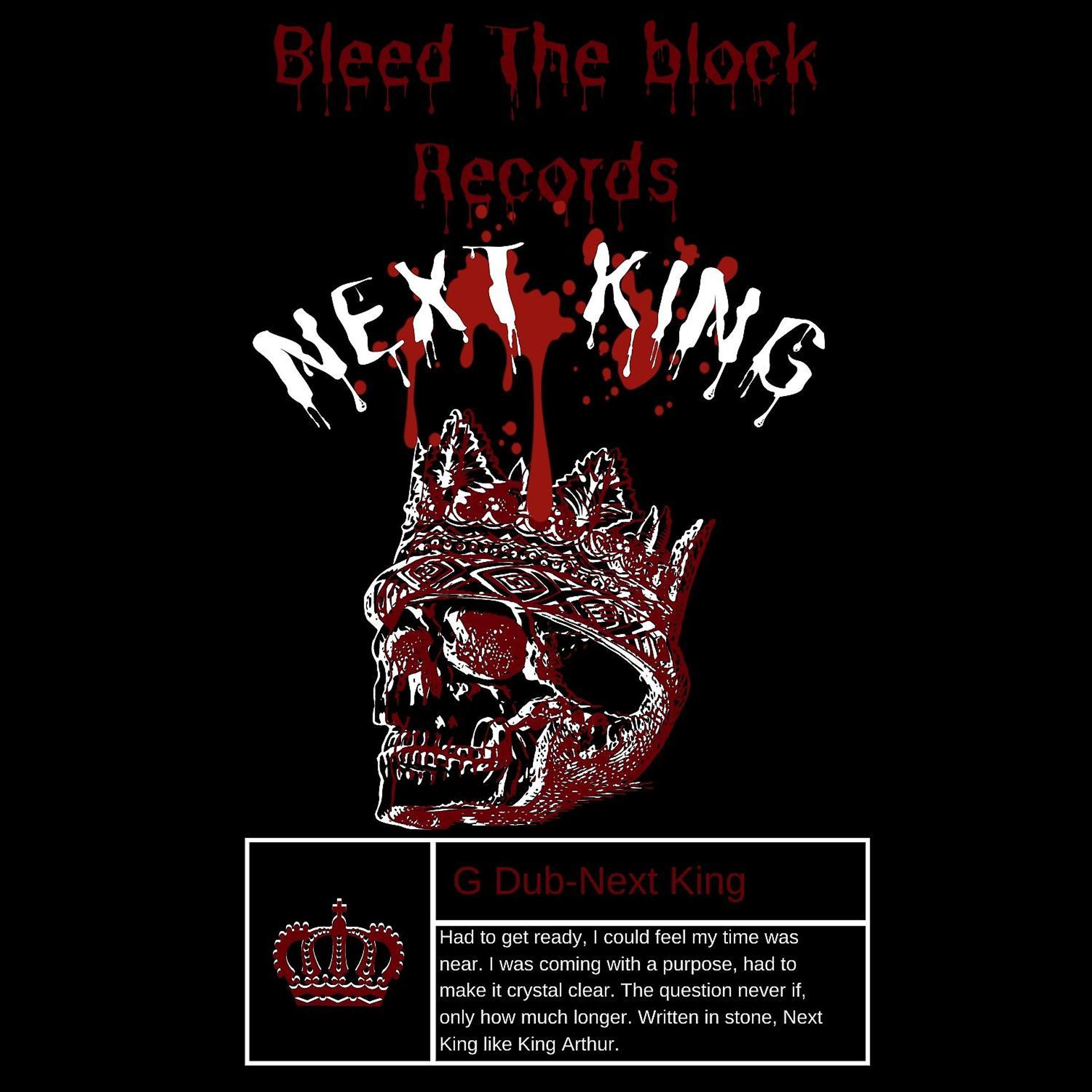 Постер альбома Next King