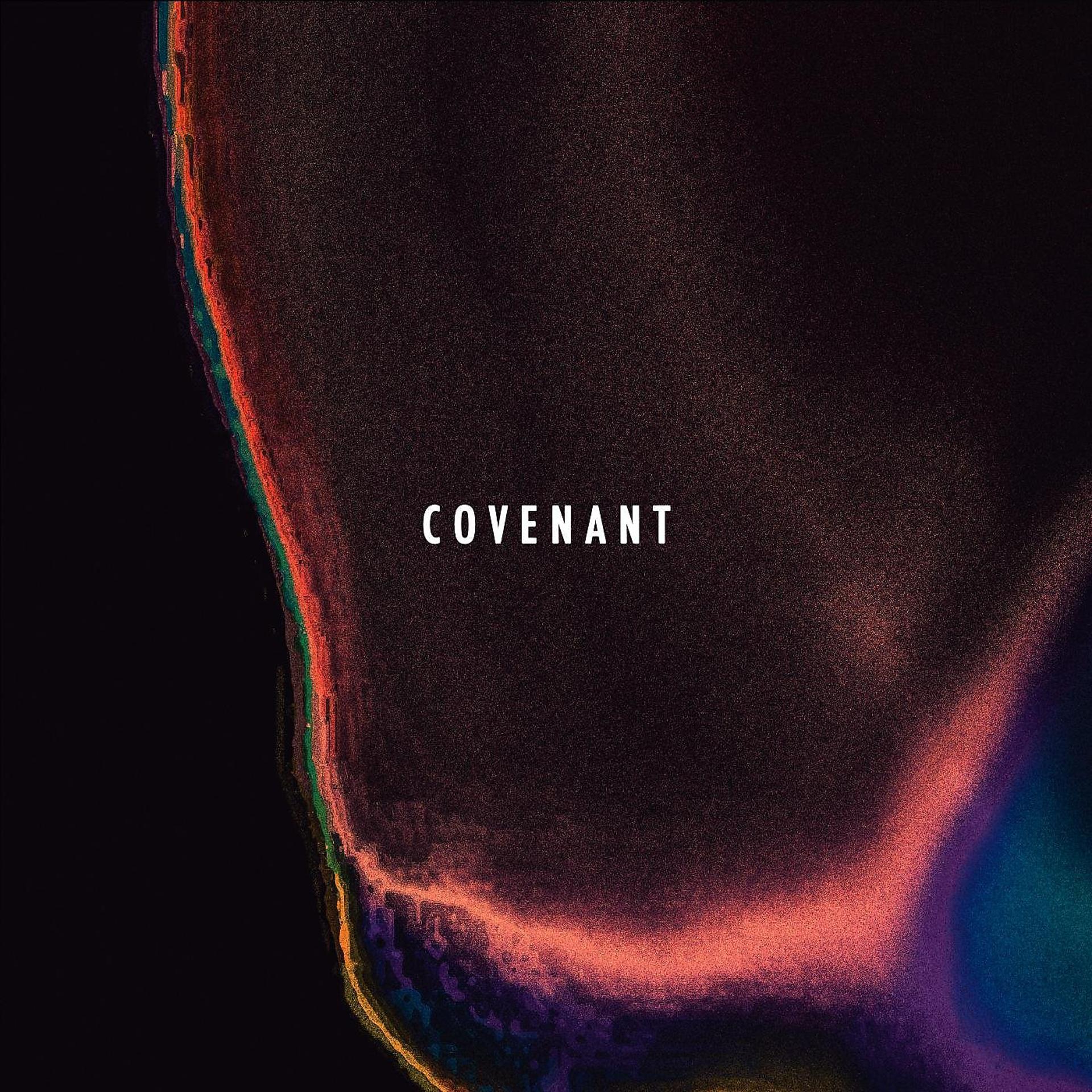 Постер альбома Covenant