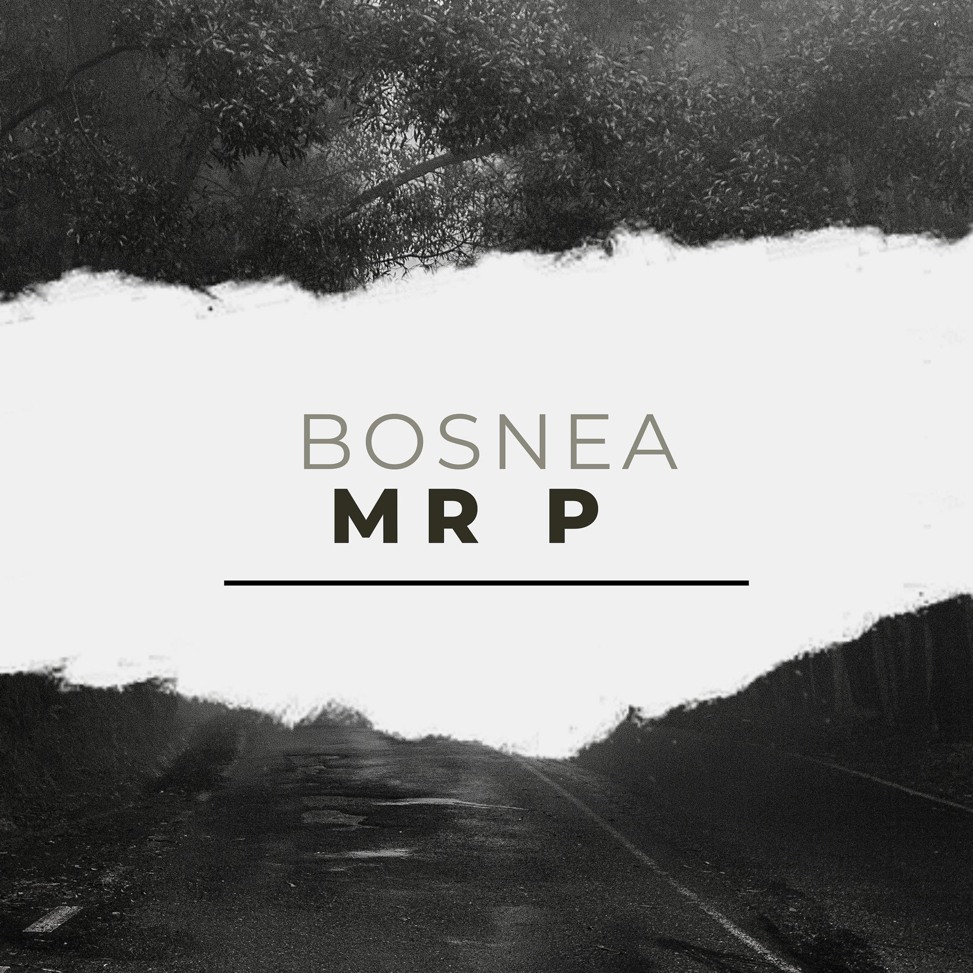Постер альбома Bosnea