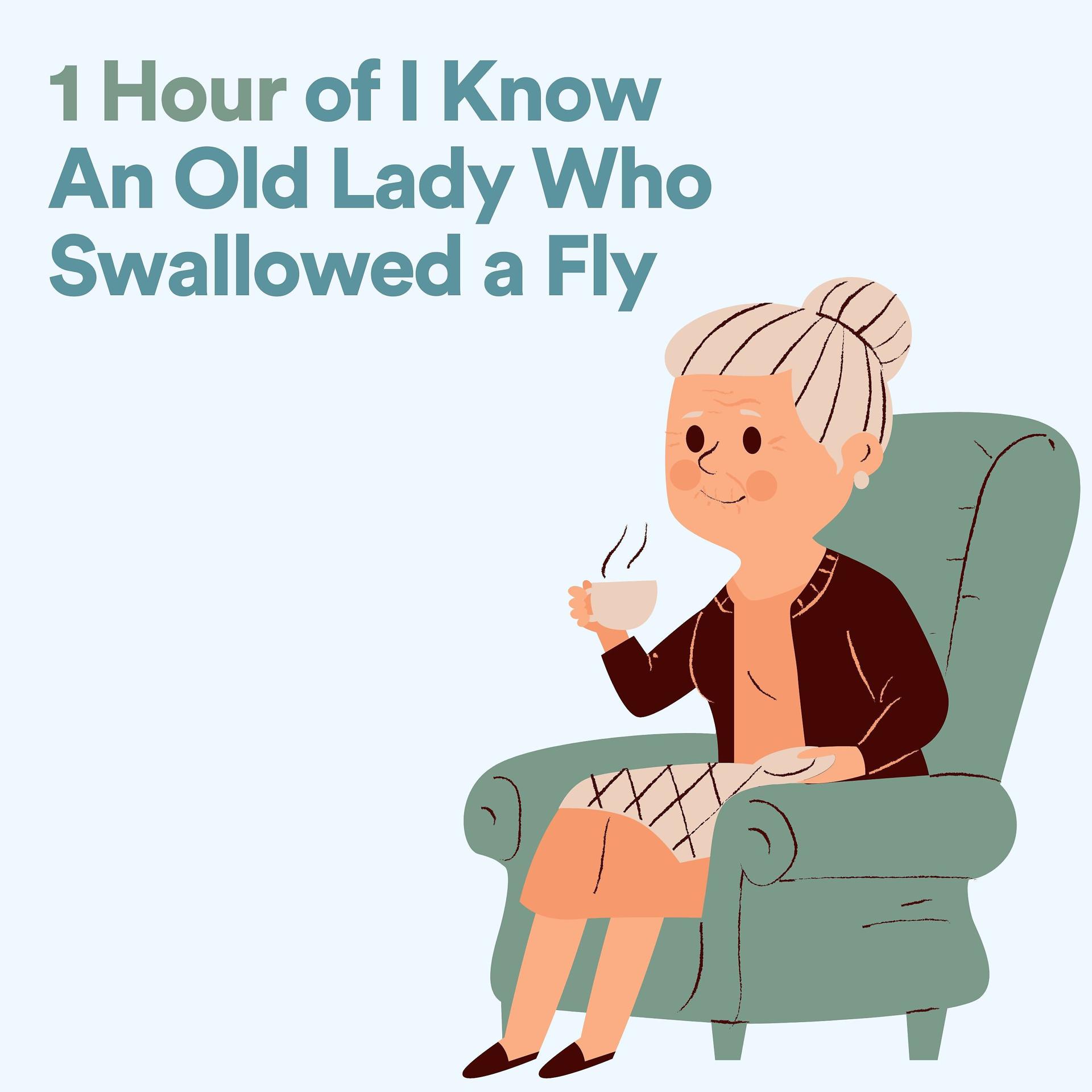Постер альбома 1 Hour of I Know An Old Lady Who Swallowed a Fly