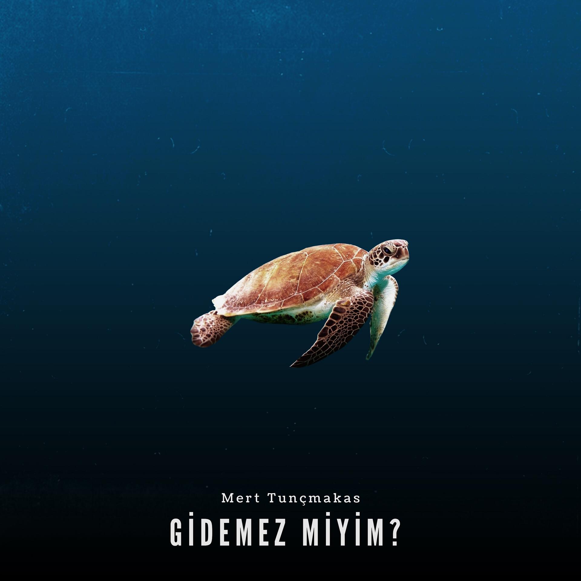 Постер альбома Gidemez Miyim