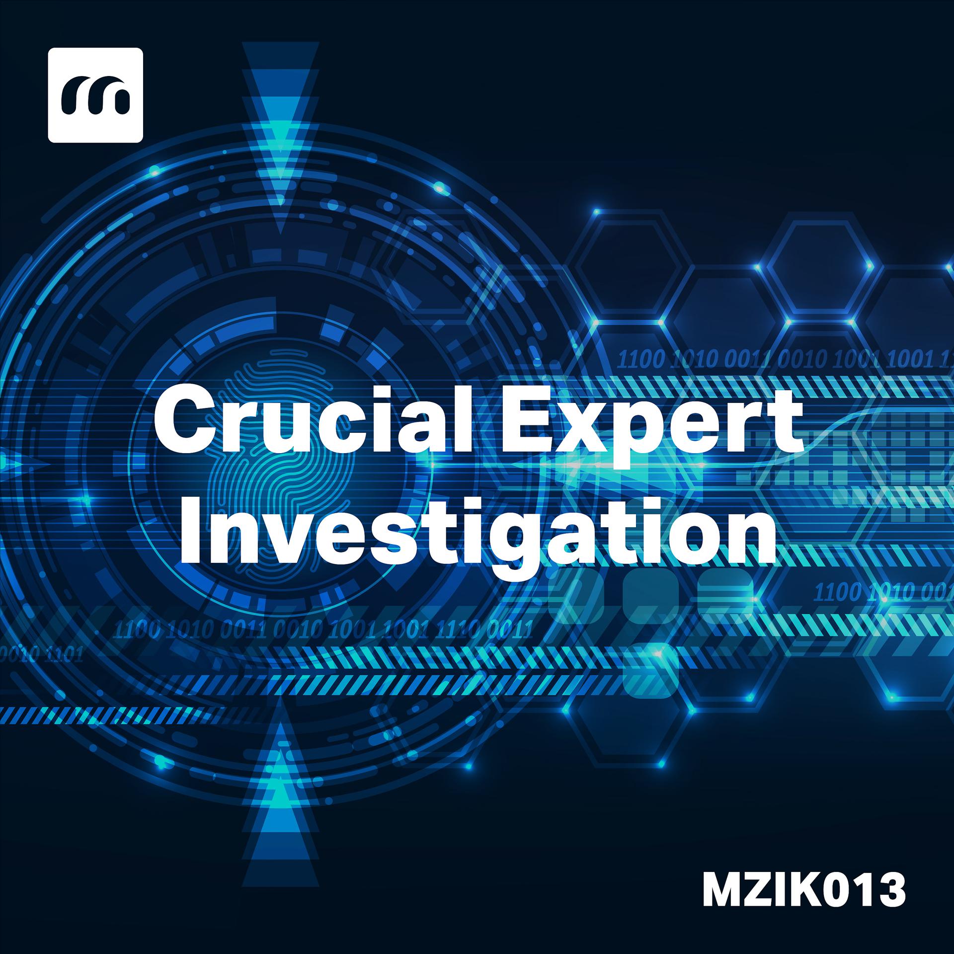 Постер альбома Crucial Expert Investigation