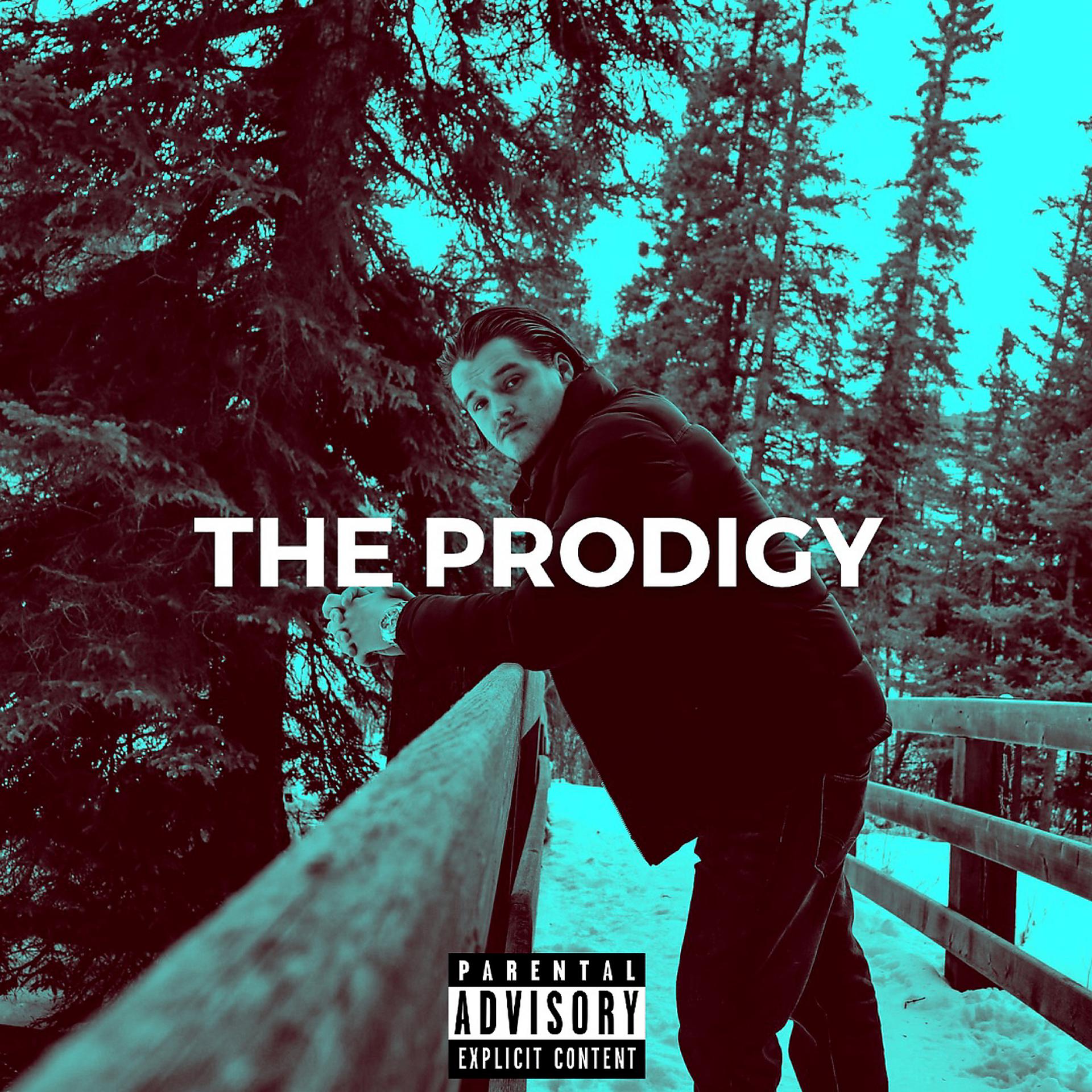 Постер альбома The Prodigy