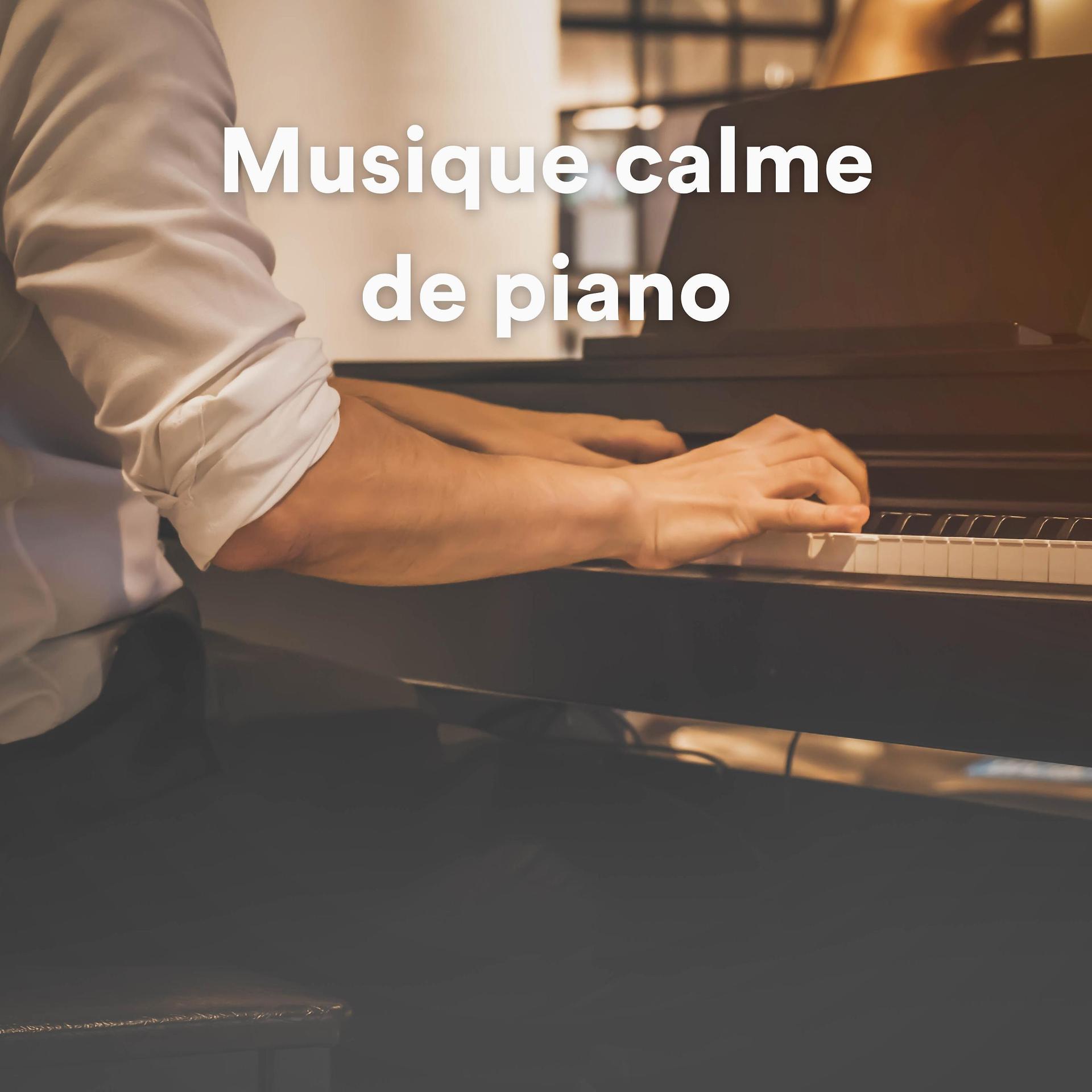 Постер альбома Musique calme de piano