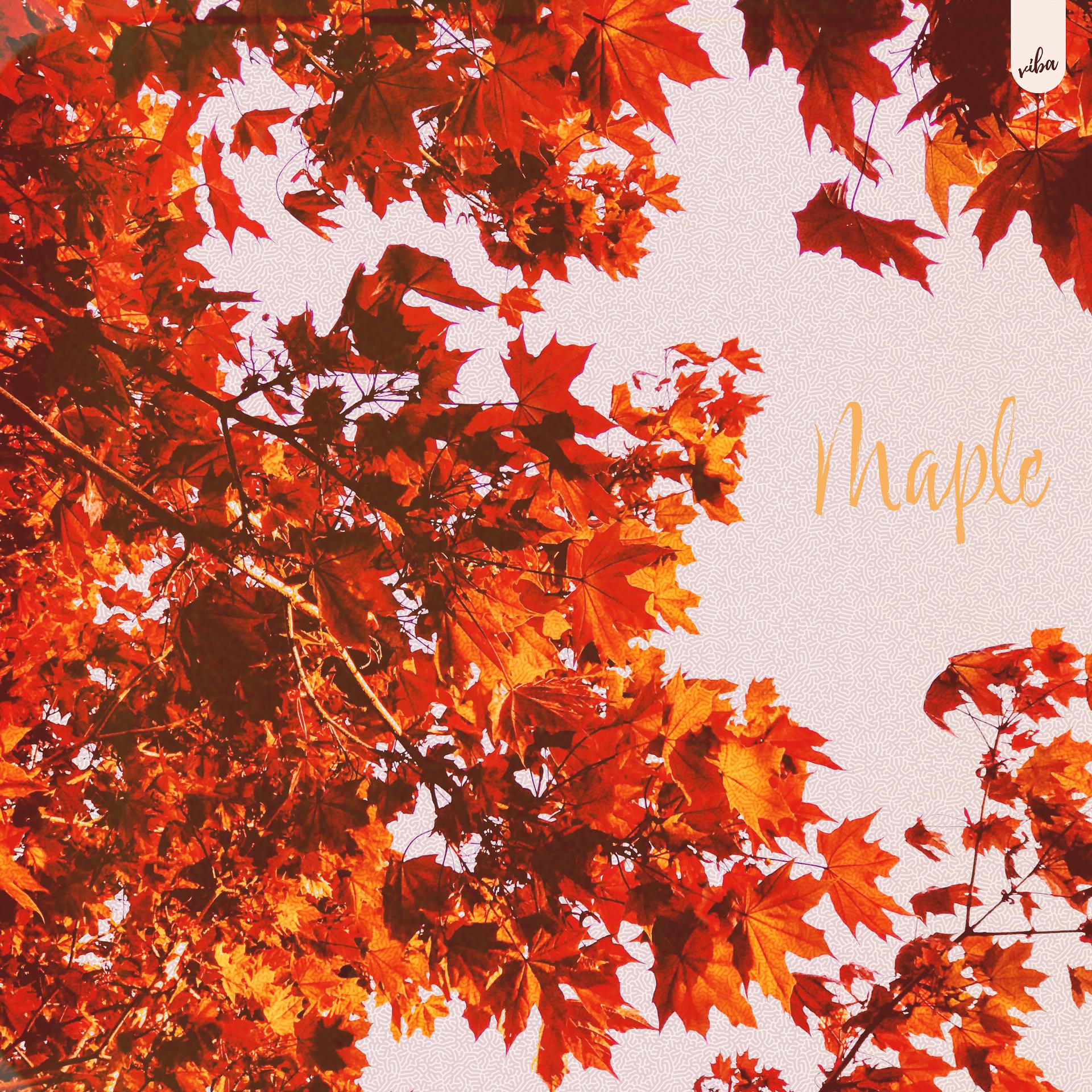 Постер альбома Maple