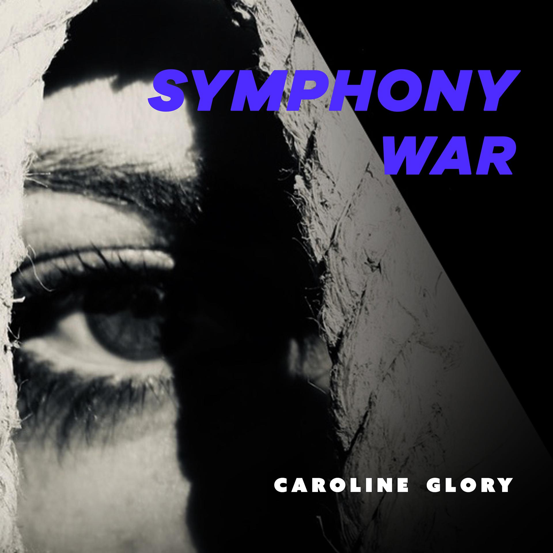 Постер альбома Symphony War