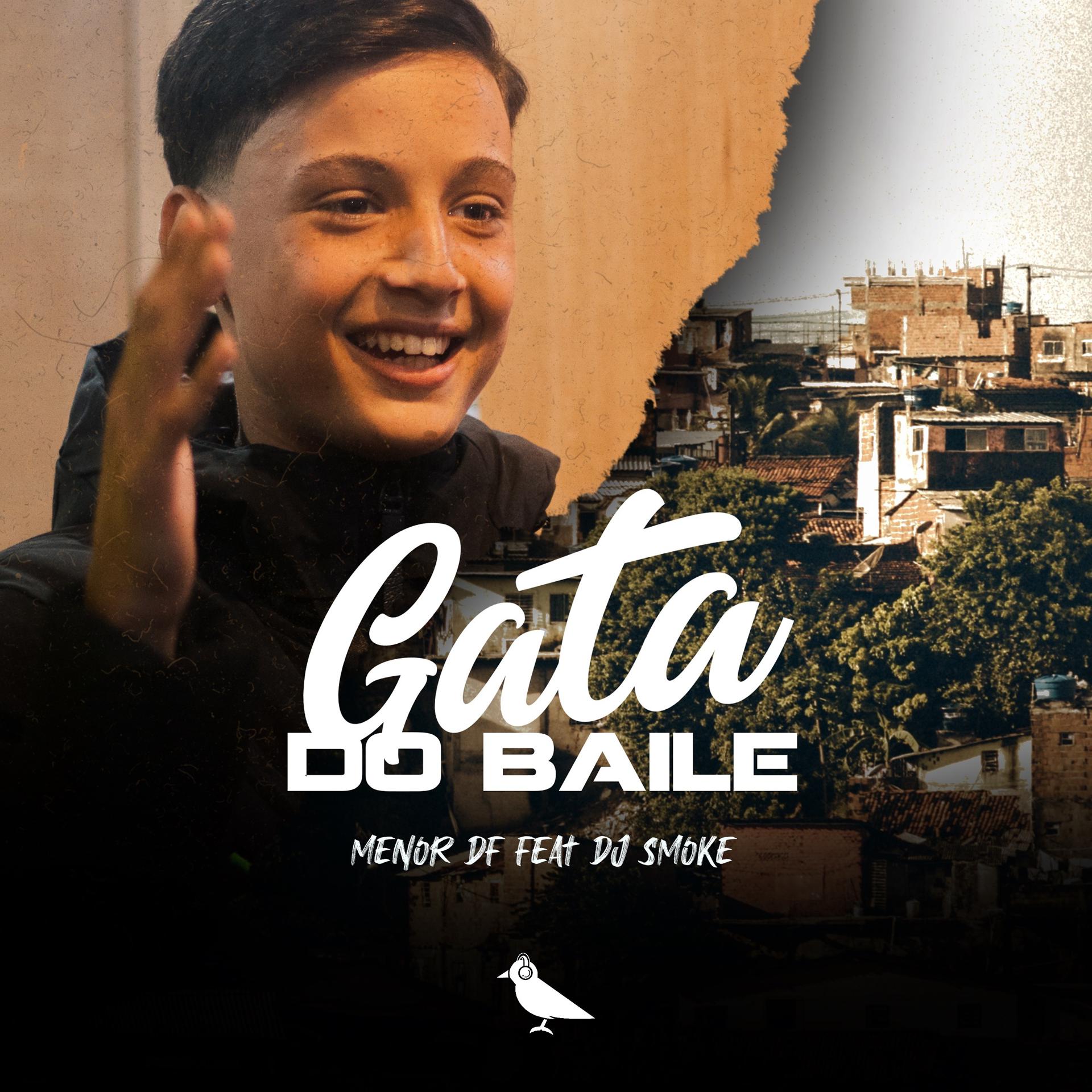 Постер альбома Gata do Baile
