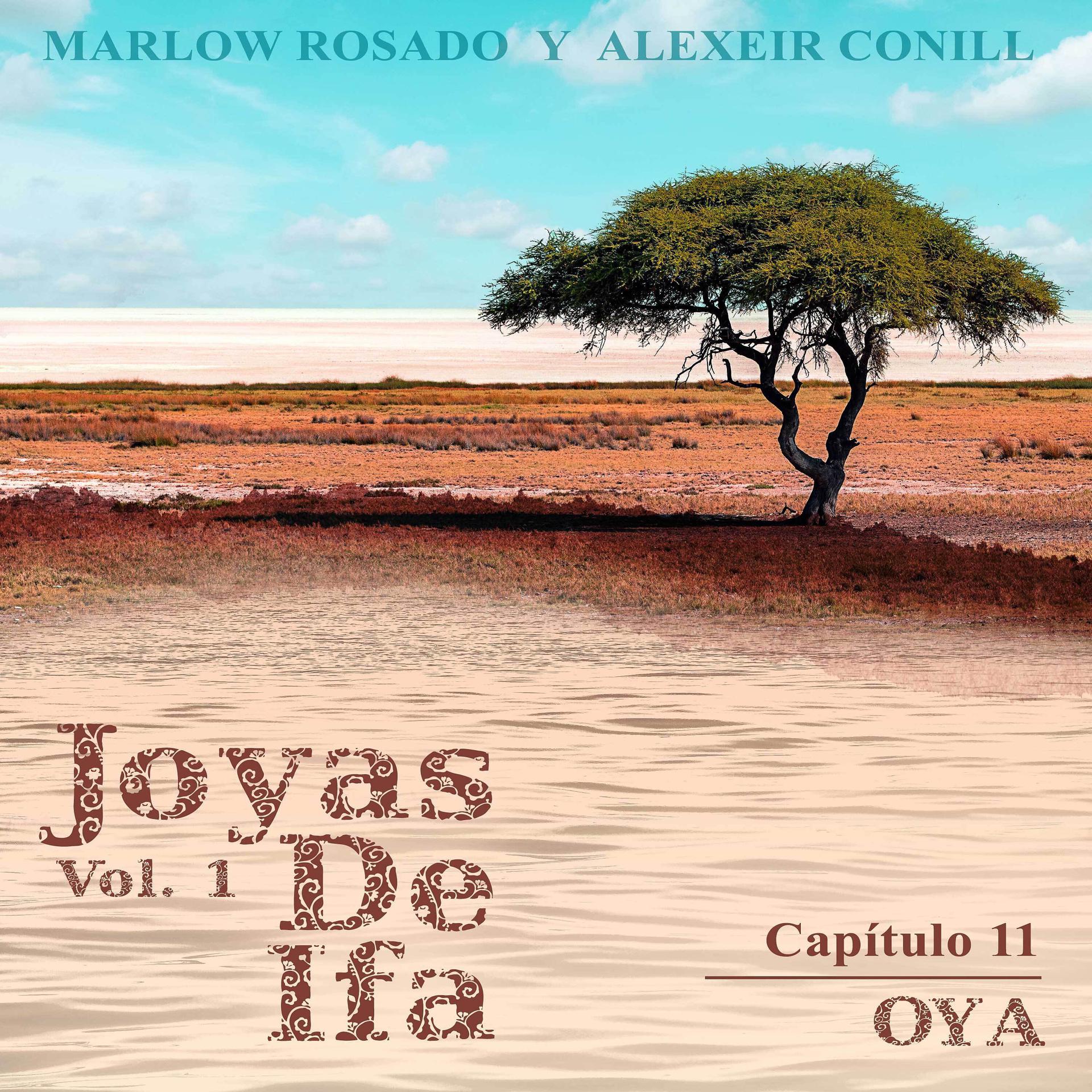 Постер альбома Oya (Joyas de Ifa Vol. 1 Capitulo 11)