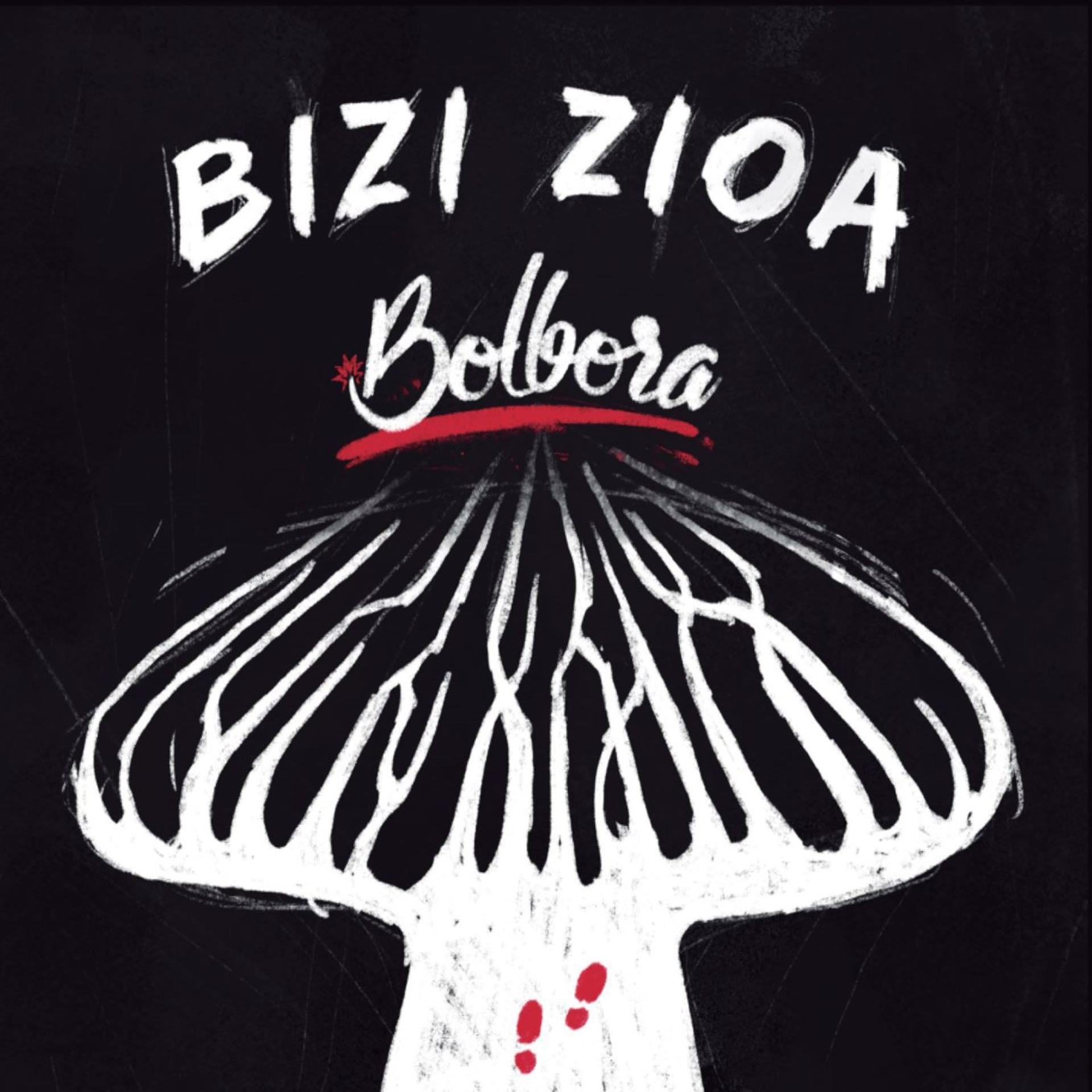 Постер альбома Bizi Zioa
