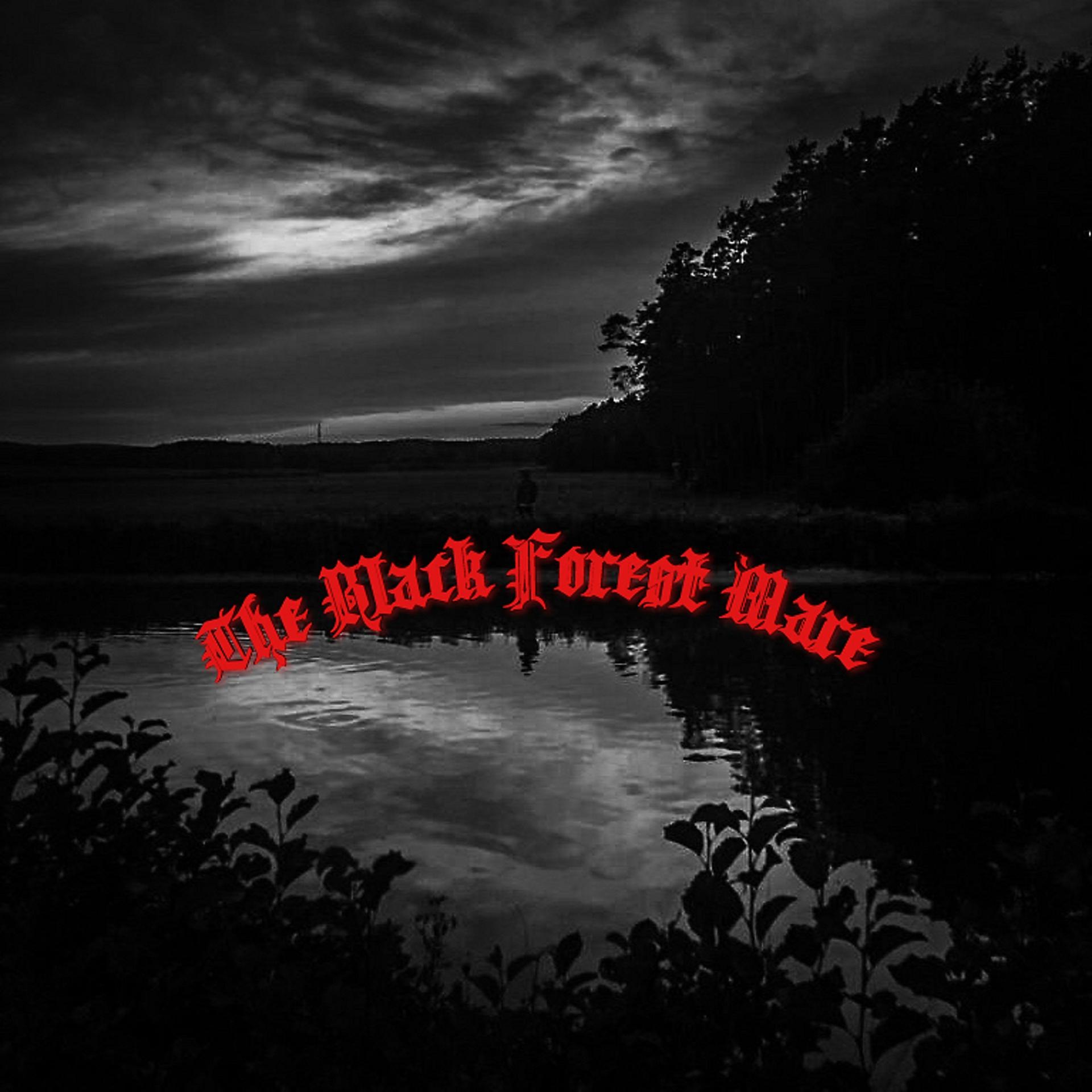 Постер альбома The Black Forest Mare