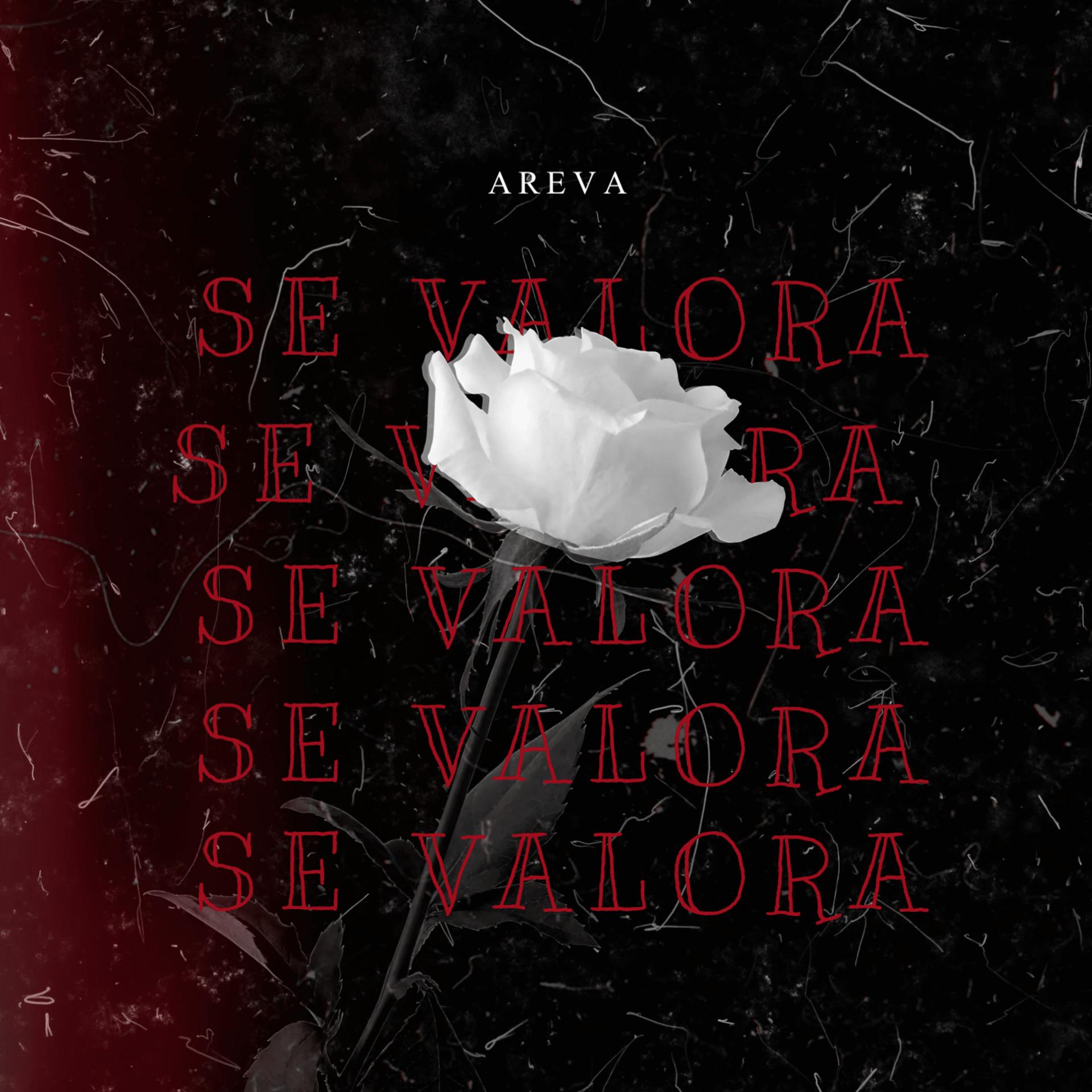 Постер альбома Se Valora