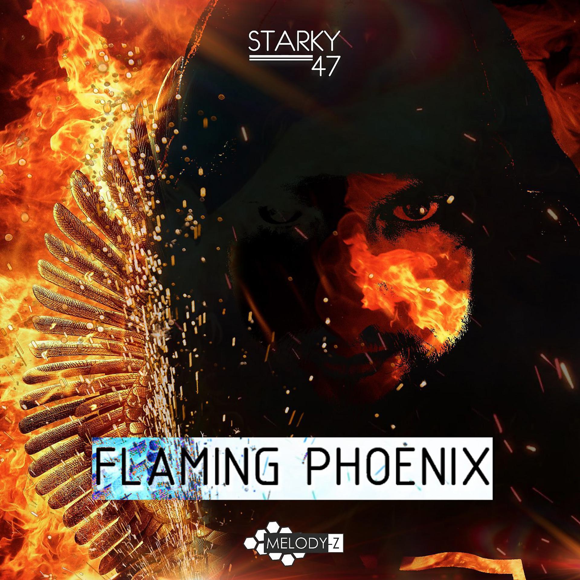 Постер альбома Flaming Phoenix