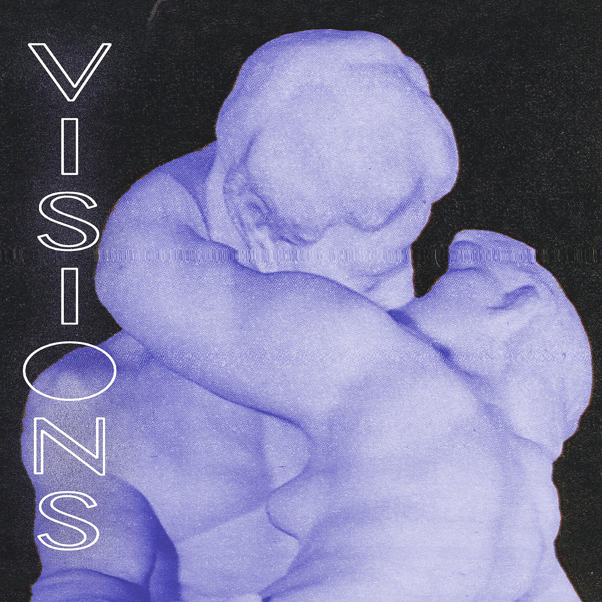 Постер альбома VISIONS EP