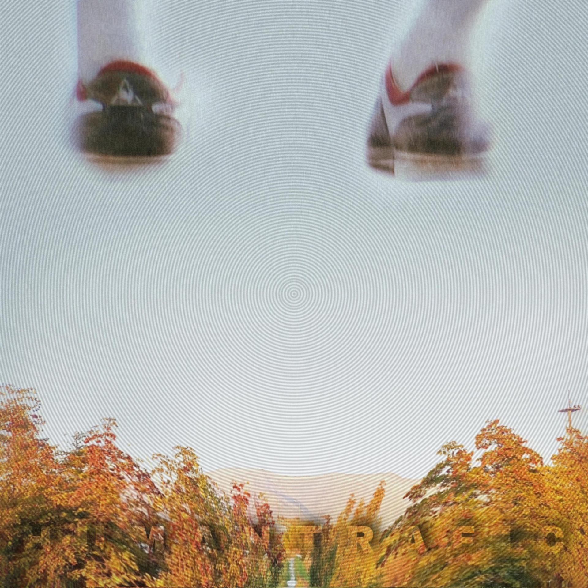 Постер альбома Чтобы Летать и Ходить Пешком