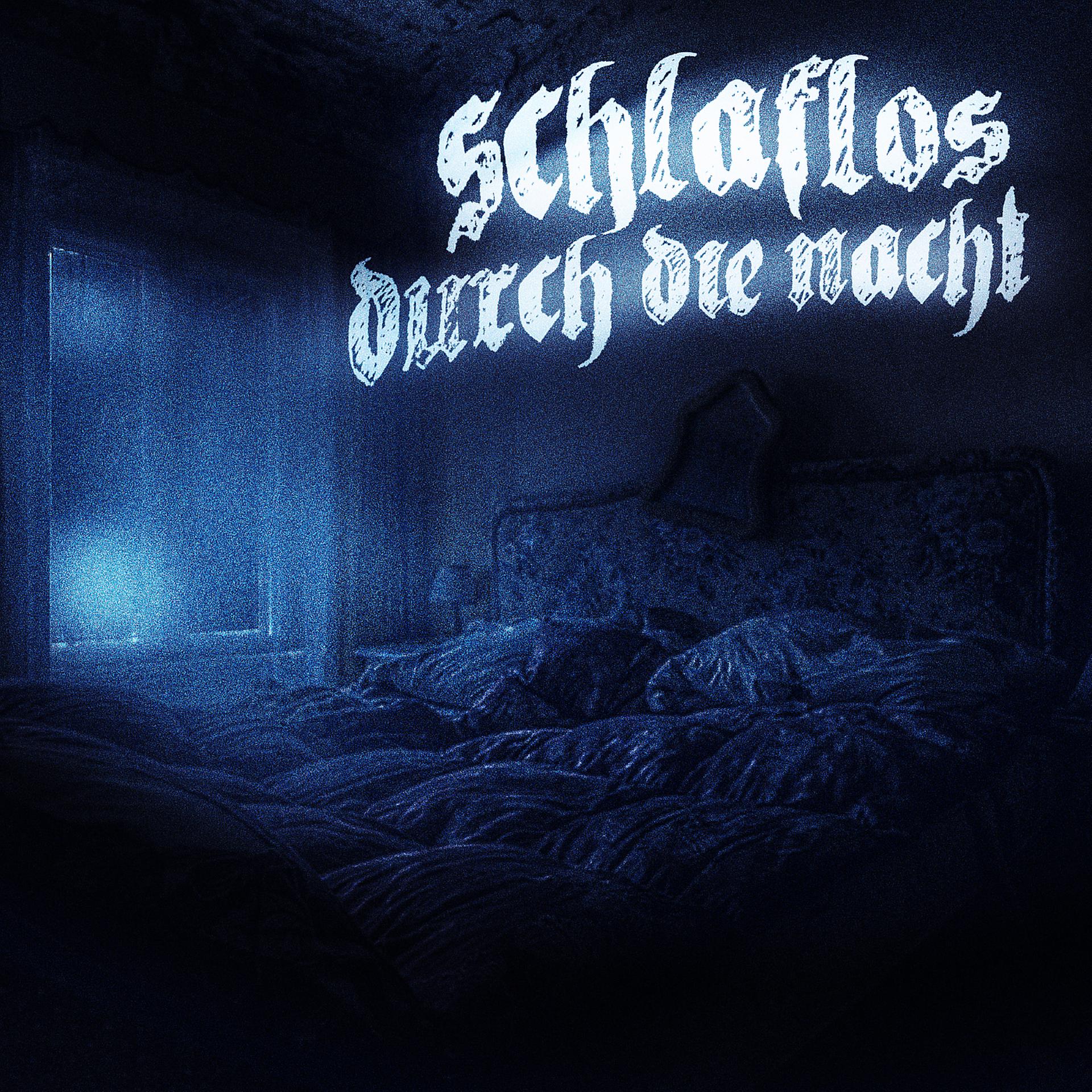 Постер альбома Schlaflosdurchdienacht