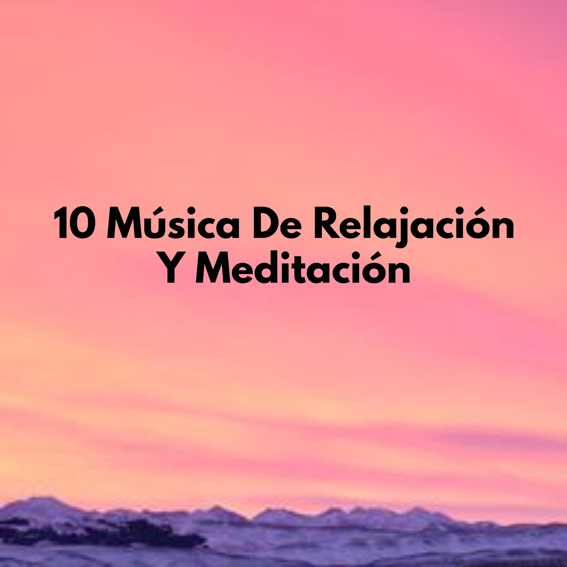 Постер альбома 10 Música De Relajación Y Meditación