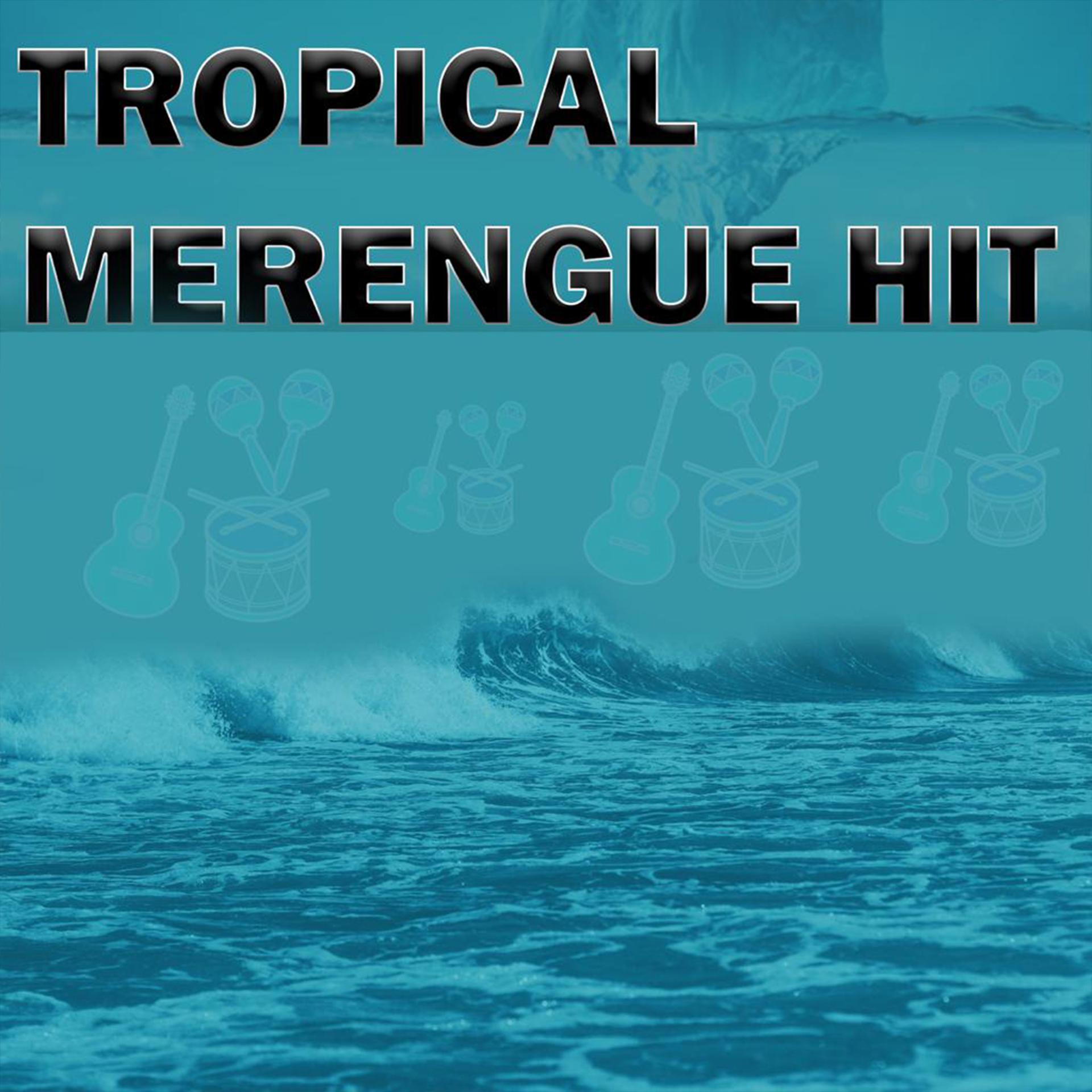Постер альбома Tropical Merengue Hit