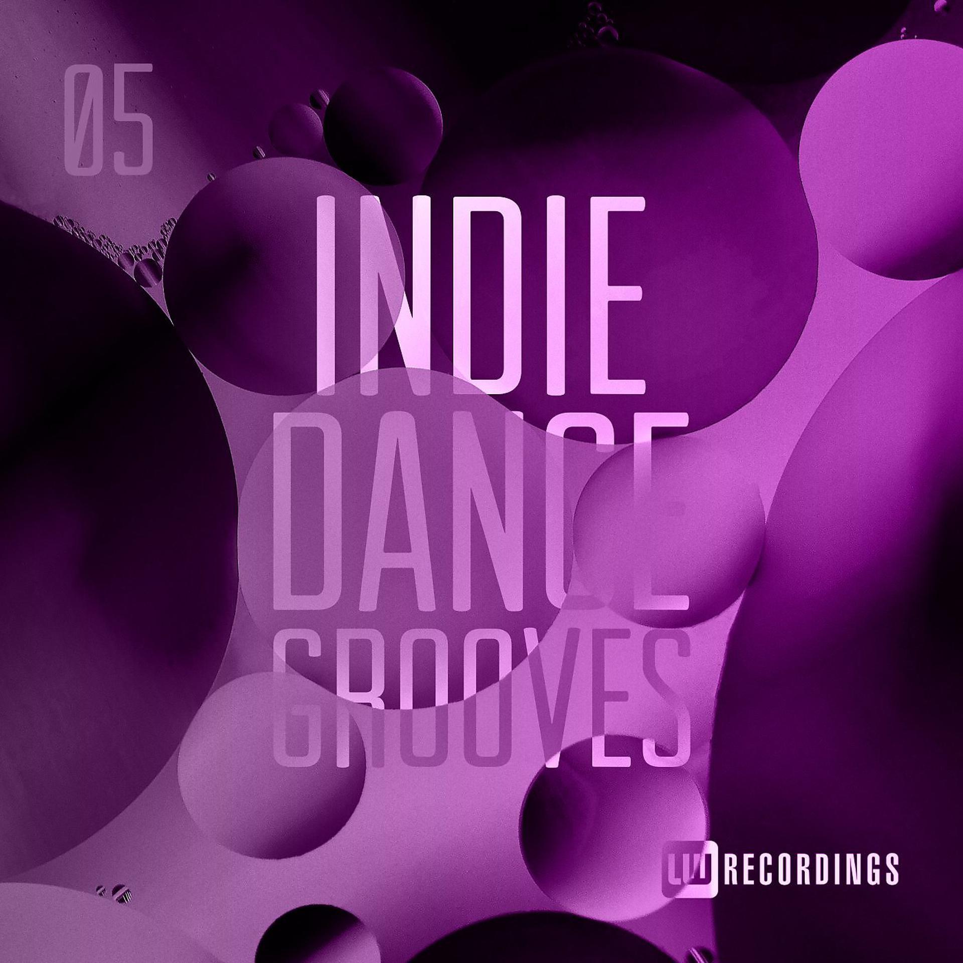 Постер альбома Indie Dance Grooves, Vol. 05
